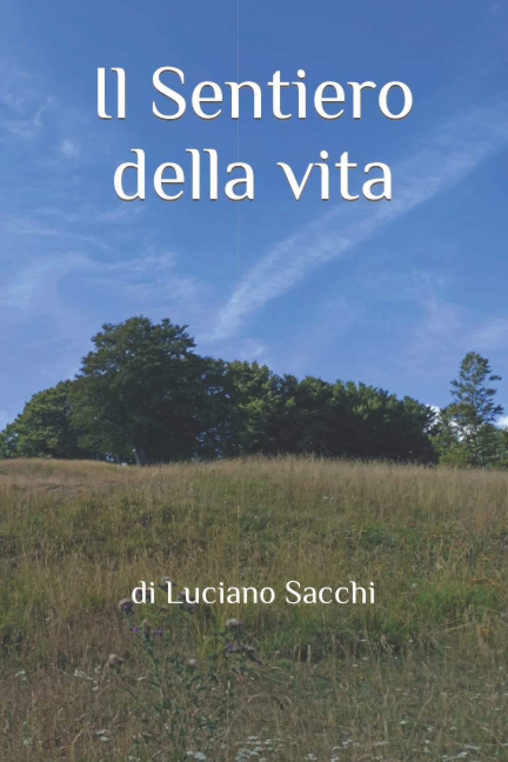 Il Sentiero della vita: di Luciano Sacchi