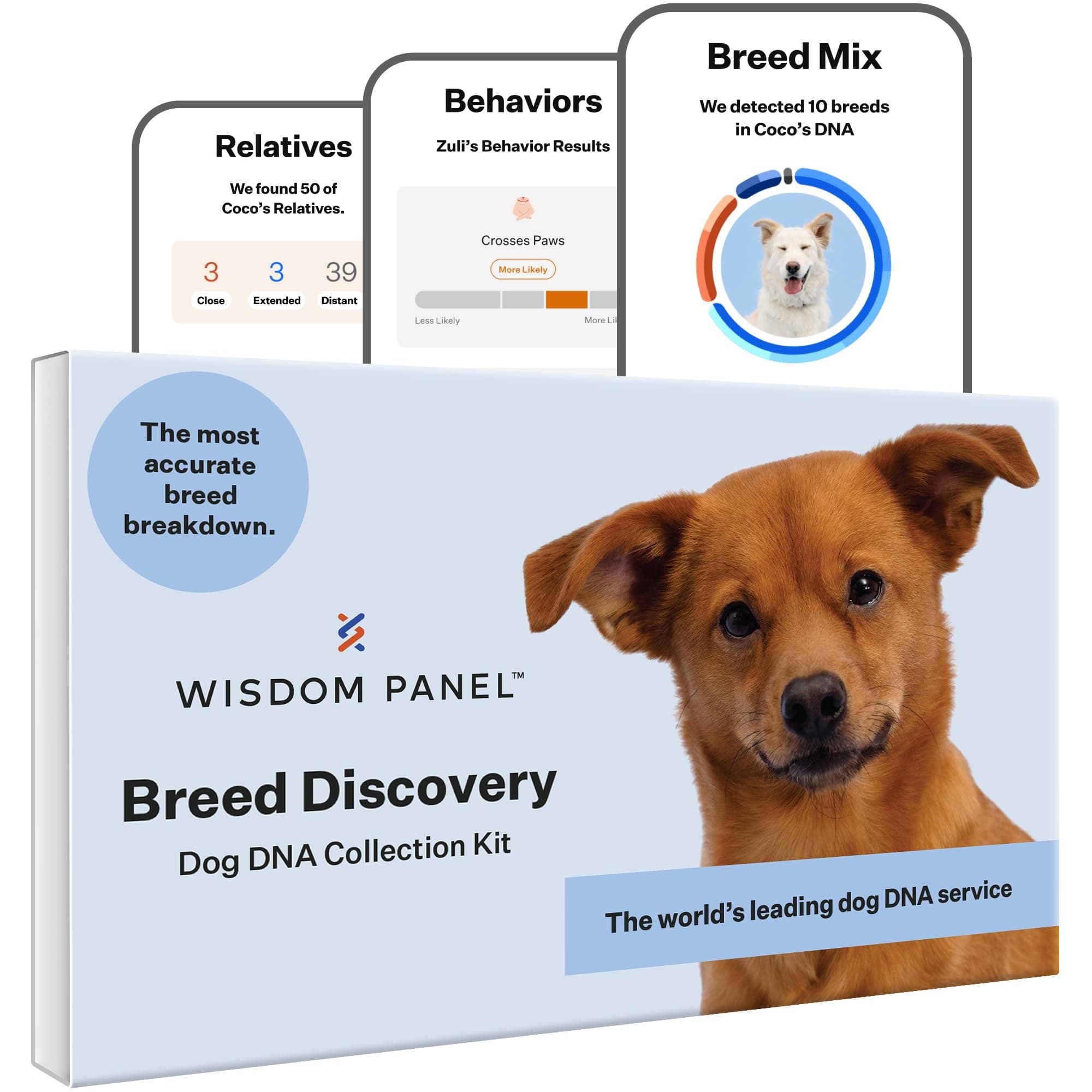 WisdomPanel Breed Discovery Dog DNA Kit: Most Accurate Dog Breed Identification, Test for 365+ Breeds, MDR1 Health Test, Ancestry, Relatives