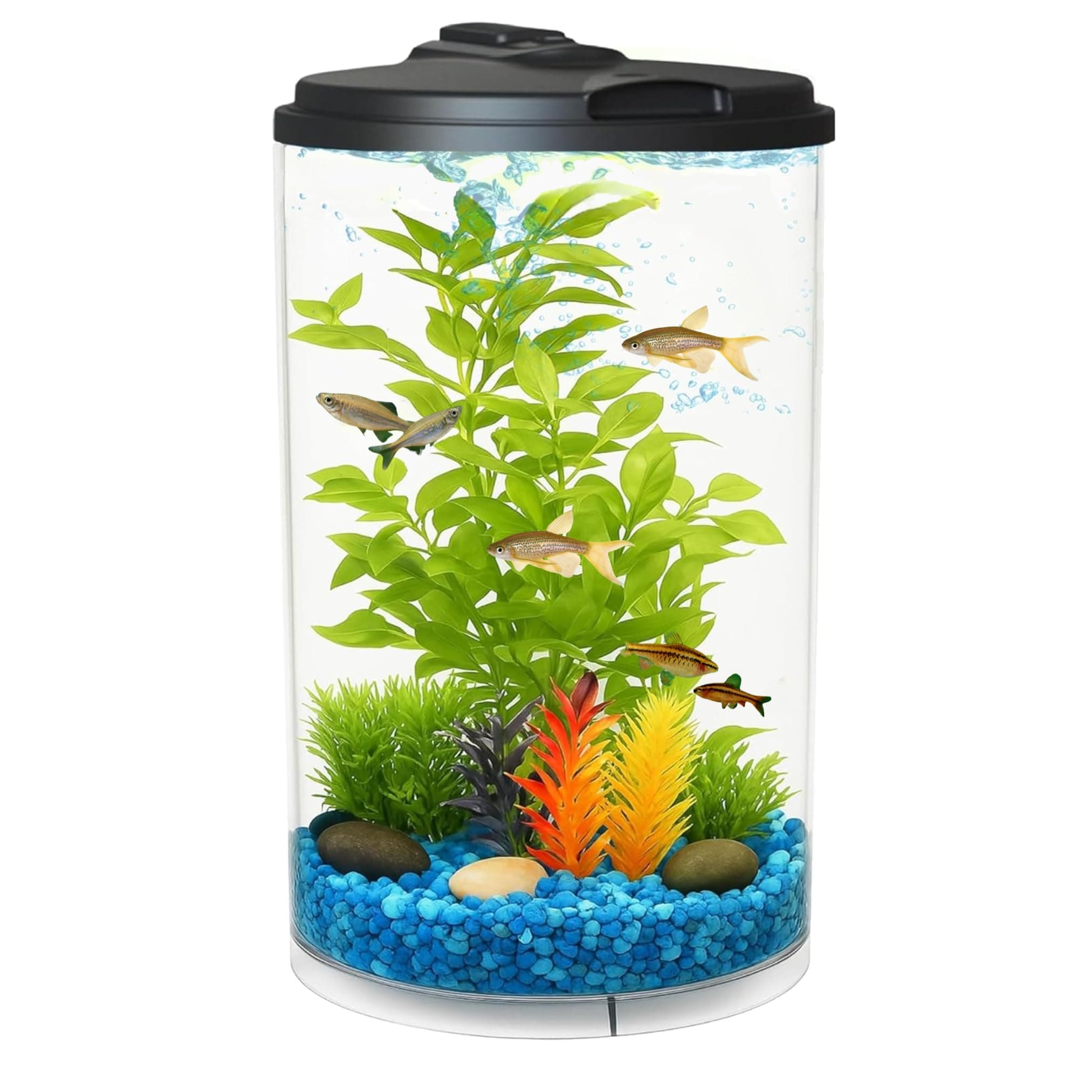 Koller Products 3-Gallon 360 Aquarium with LED Lighting (7 Color Selections) and Power Filter, Impact-Resistant Plastic, Ideal for a Variety of Tropical Fish