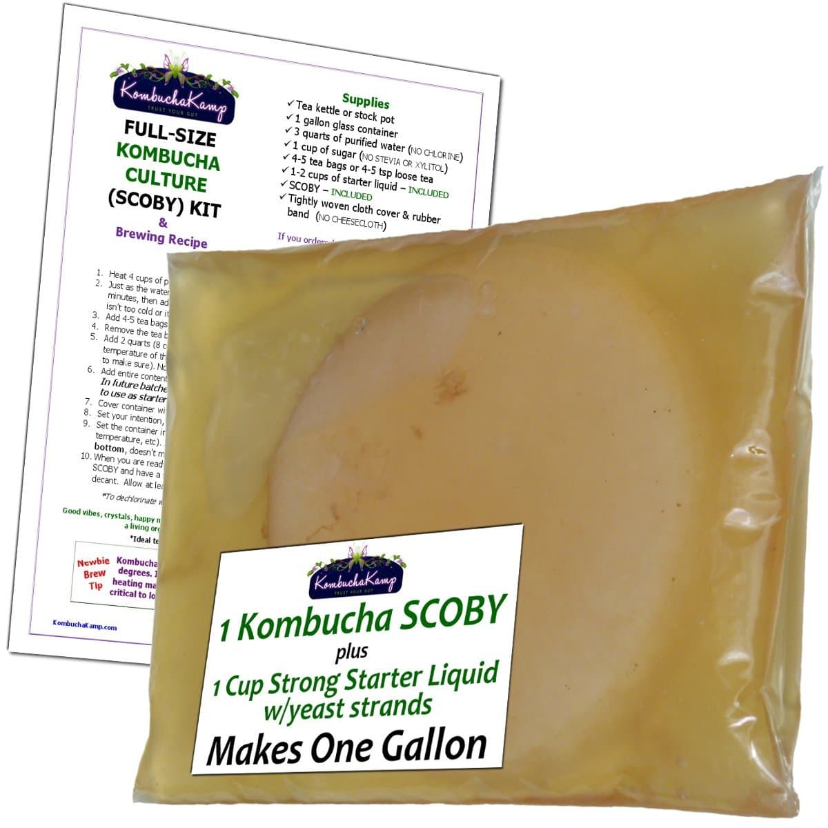 Kombucha Kamp Genuine KOMBUCHA CULTURE (1 Lrg SCOBY + 1 Cup Strong STARTER LIQUID - Makes 1 Gallon)