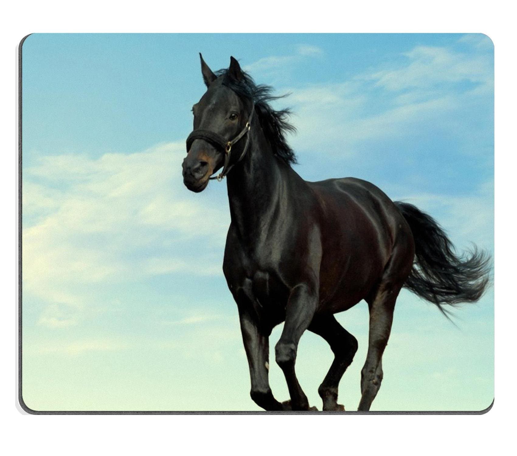 Animal Black Horse Clouds Sunshine Alone Gallop Mouse Pads Customized Made to Order Support Ready 9 7/8 Inch (250mm) X 7 7/8 Inch (200mm) X 1/16 Inch (2mm) Eco Friendly Cloth with Neoprene Rubber Luxlady Mouse Pad Desktop Mousepad Laptop Mousepads Comfortable Computer Mouse Mat Cute Gaming Mouse pad