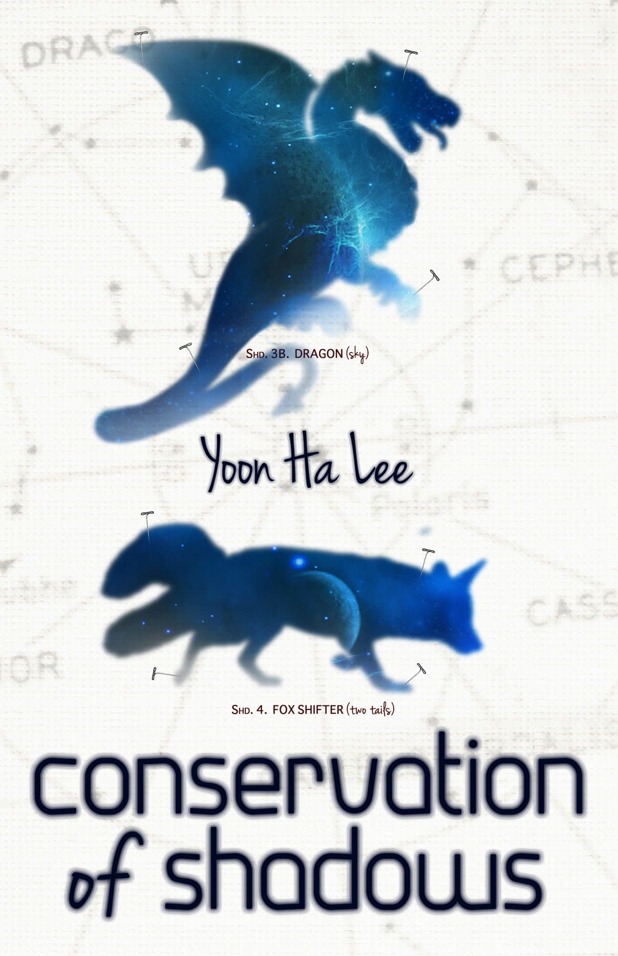 Conservation of Shadows Paperback – April 16, 2013