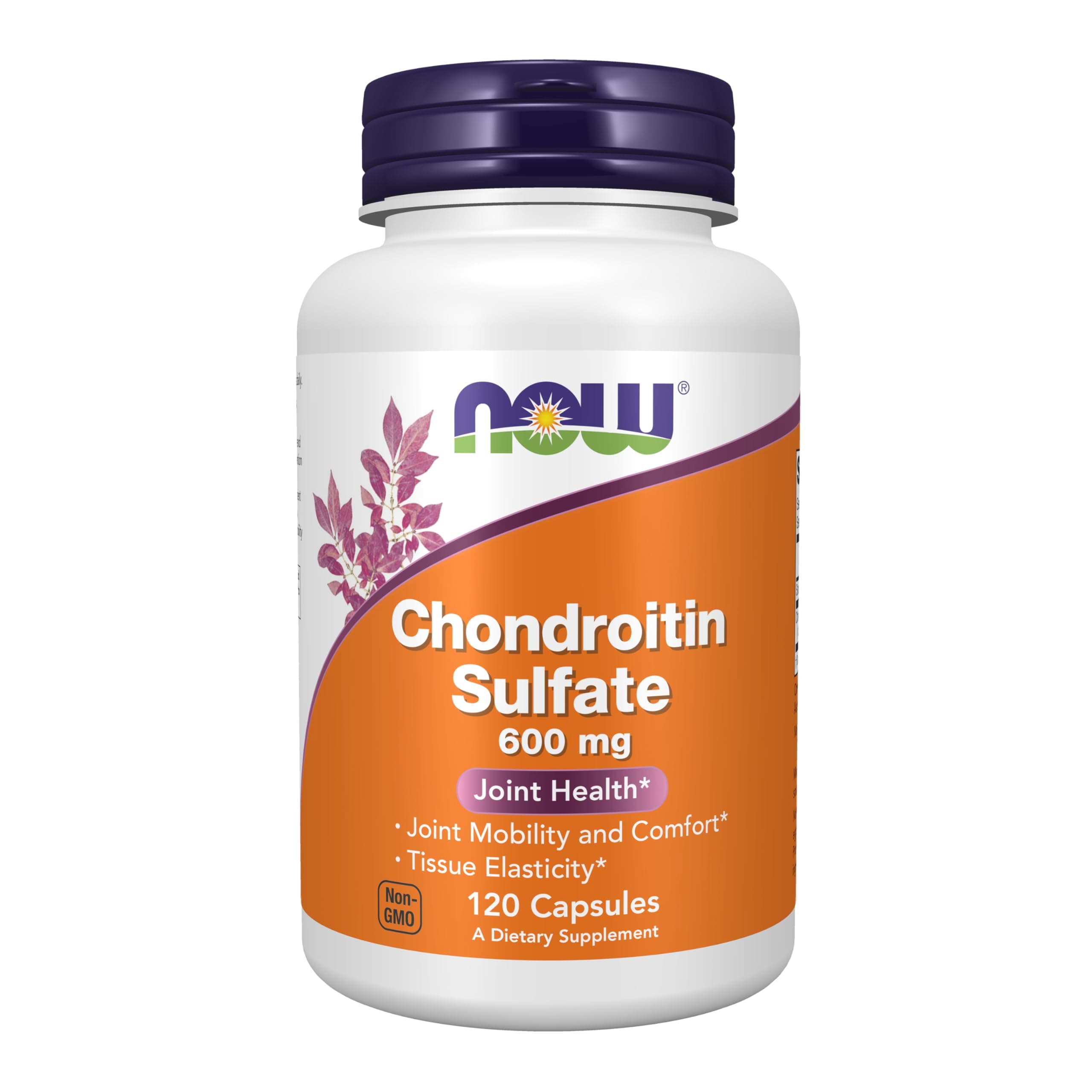 Supplements, Chondroitin Sulfate 600 mg (a Glycosaminoglycan), Joint Health*, 120 Capsules