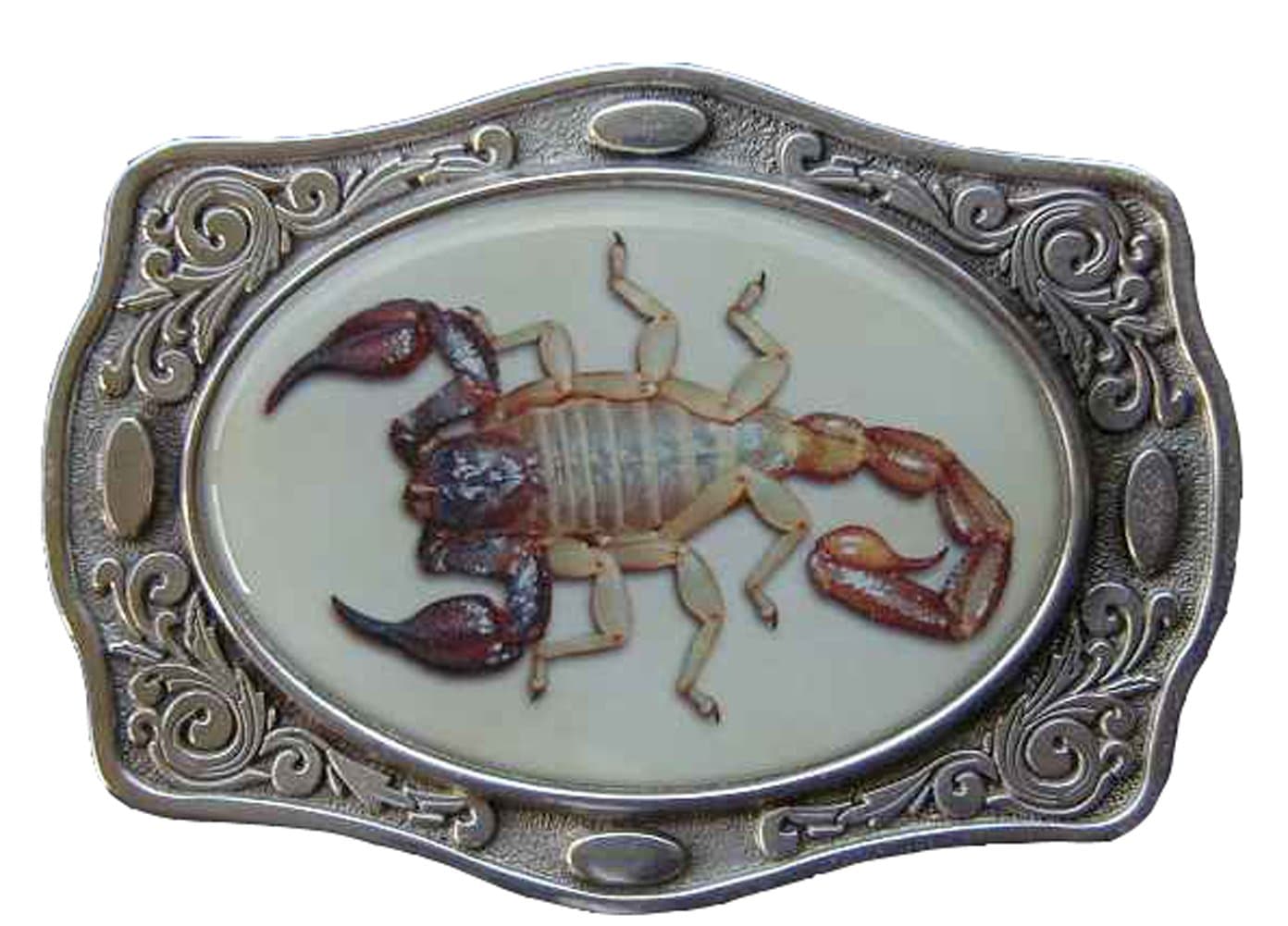 Scorpion Buff Shine Border Novelty Belt Buckle