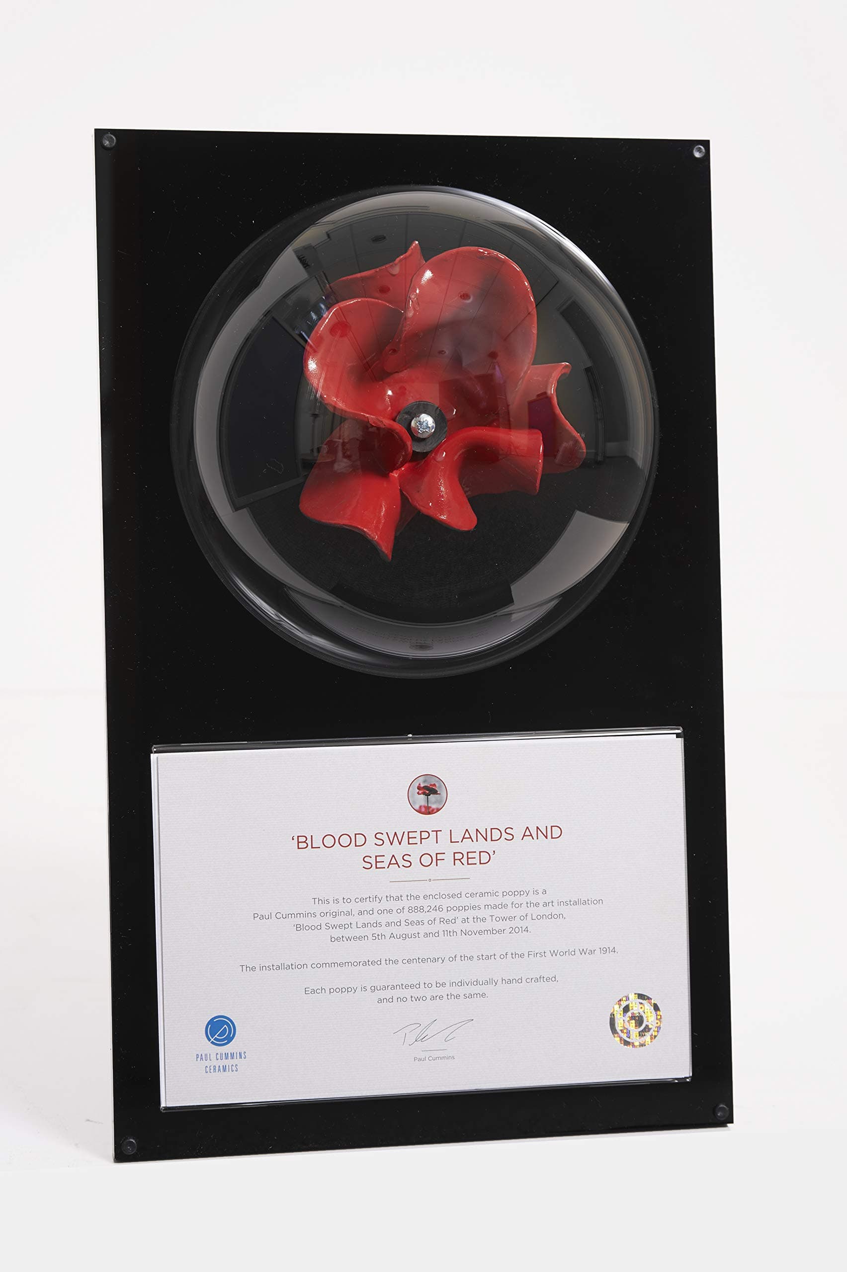 Tower Of London Poppy Display Case - Wall Mounted - POPPY NOT INCLUDED