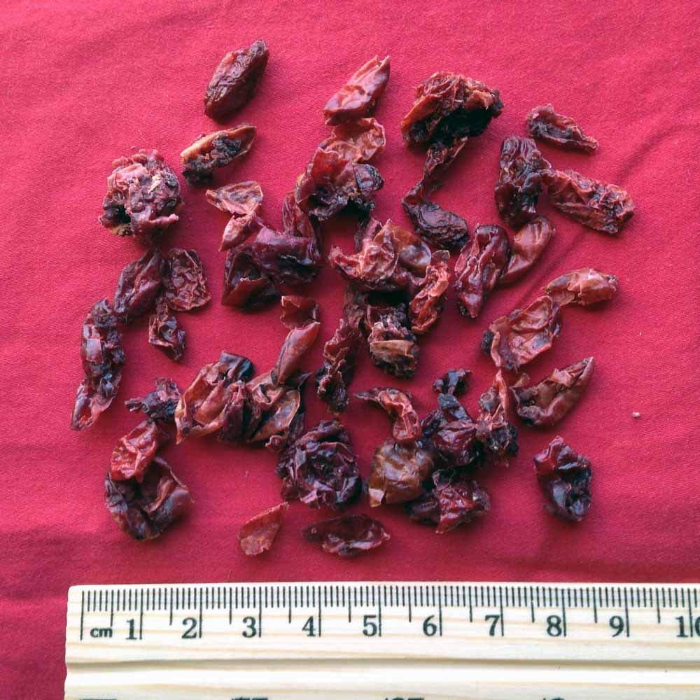 XYP Shanzhuyu Shan Zhu Yu Fructus Corni Medicinal Cornel Fruit 山茱萸 100Gram