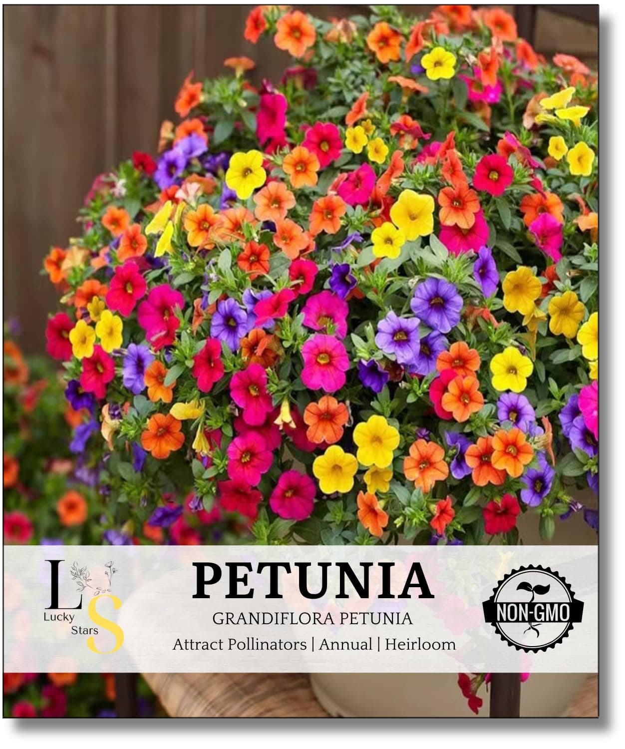 5000+ Petunia Seeds - Mixed Rainbow Color, Bonsai, Grandiflora Flowers, 1800 mg Heirloom Flower Seeds, Pollinator Garden, Open Pollinated, Non-GMO, Indoor and Outdoor