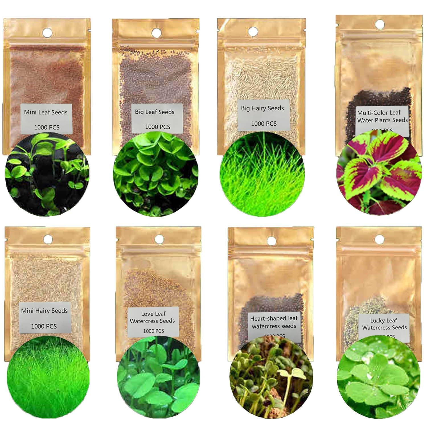 Aquatics Water Grass Plant Seeds Fish Tank Aquarium Landscape Decoration, Easy To Plant, Plant Seeds, Gardening, Home Decor (8 PACK)