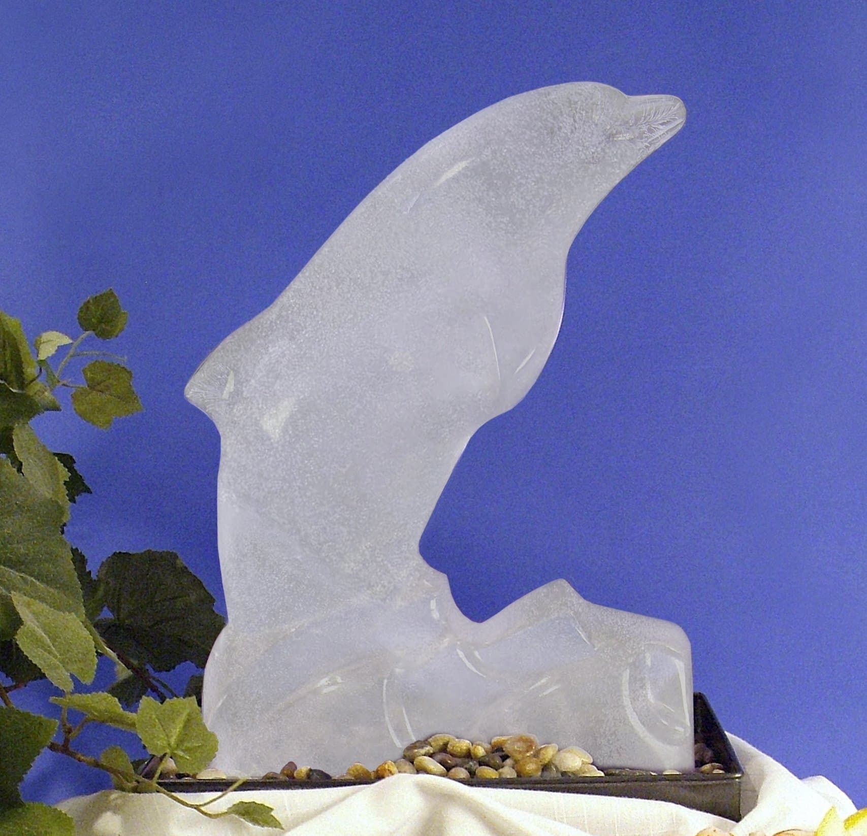 Reusable Dolphin Ice Sculpture Mold