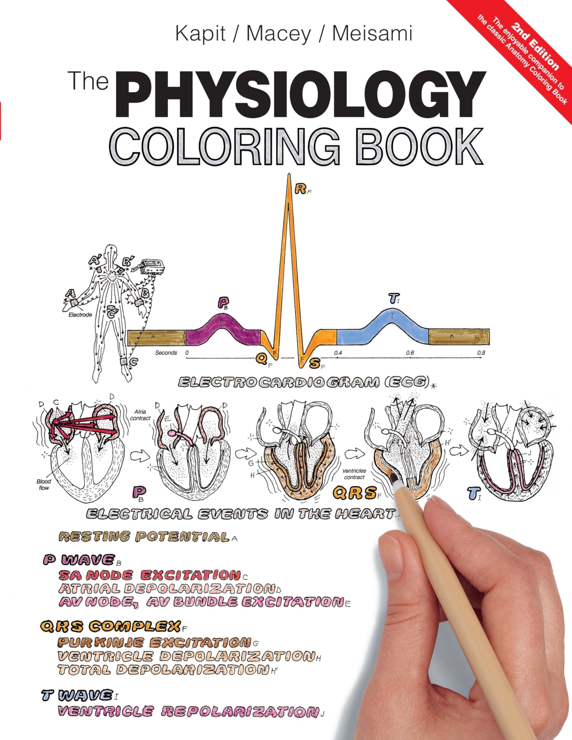 The Physiology Coloring Book, 2nd Ed.