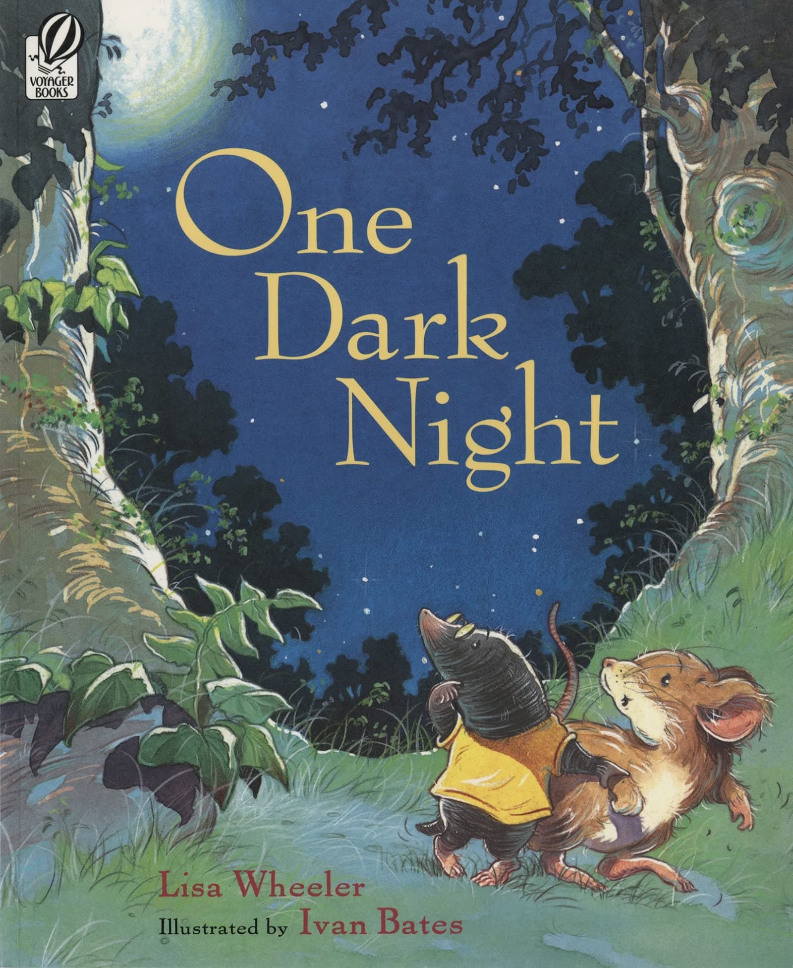 One Dark Night Paperback – August 1, 2006