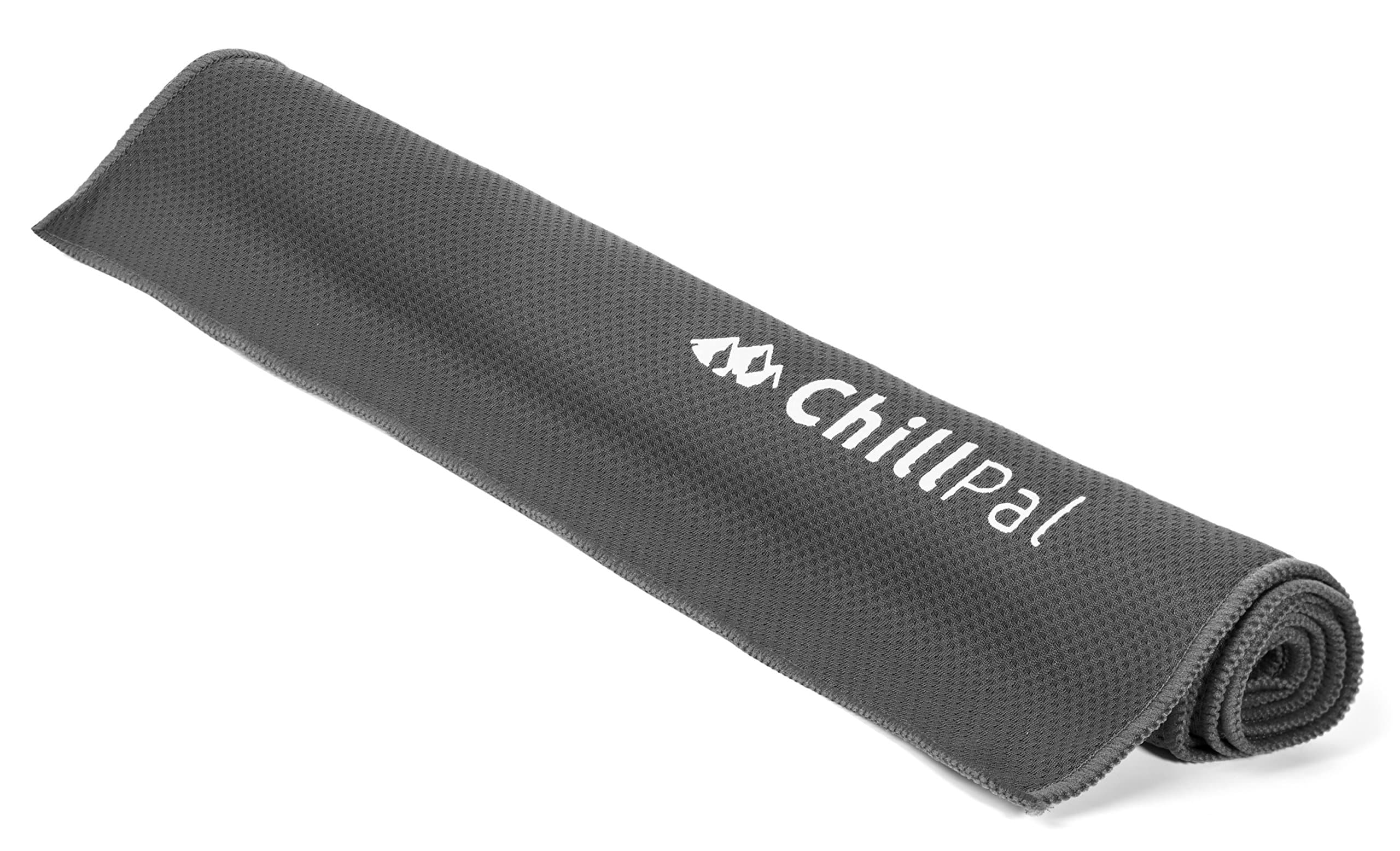 Chill Pal Mesh Cooling Towel