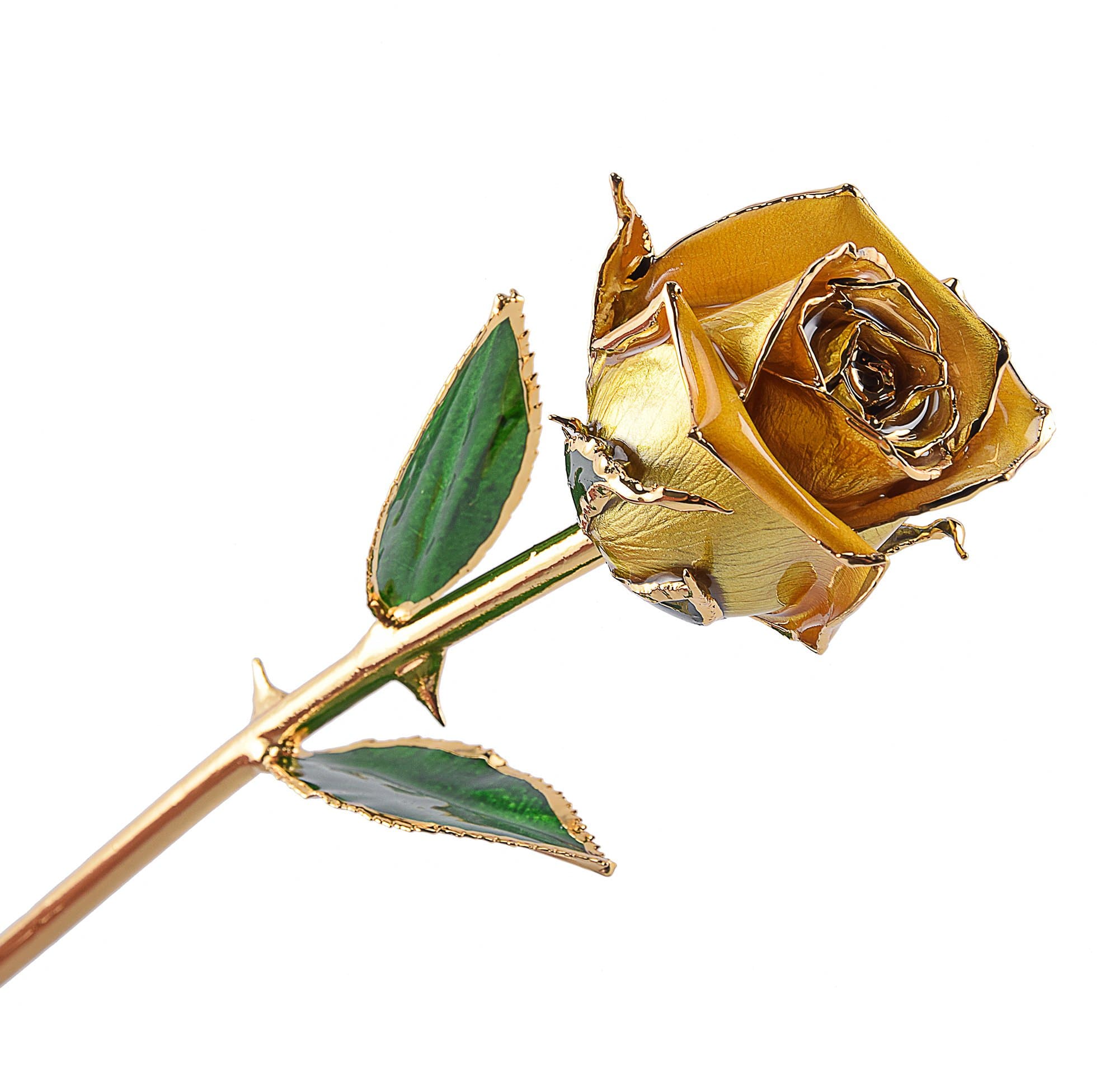 Long Stem Trimmed 24K Gold Dipped Real Rose Yellow 11 Inches Set of 1,Best Gift for Valentine's Day, Mother's Day, Anniversary, Birthday