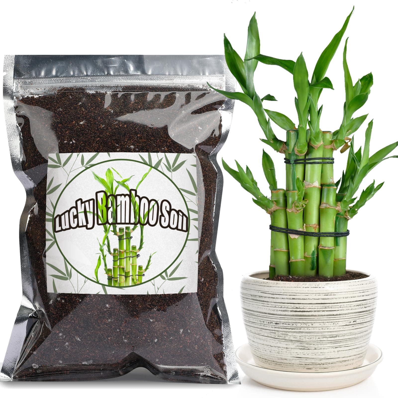 Premium Lucky Bamboo Soil Mix 1qt, Indoor Plants Potting Mix for All Potted Luncky Bamboo, Promote Healthy Growth and Longevity