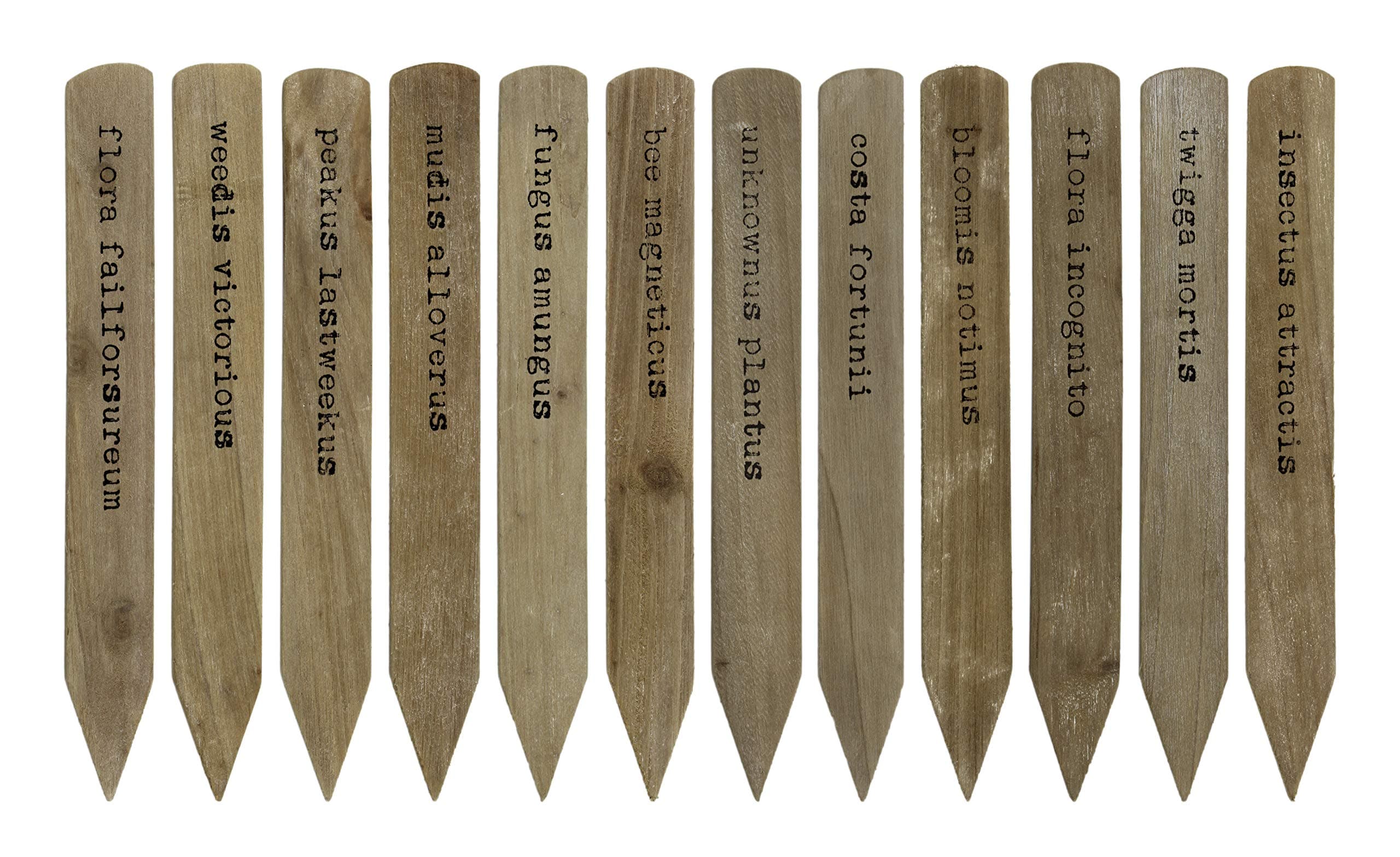AuldHome Funny Garden Plant Markers (Set of 12); Decorative Wooden Plant Label Stakes with Humorous Latin Style Text