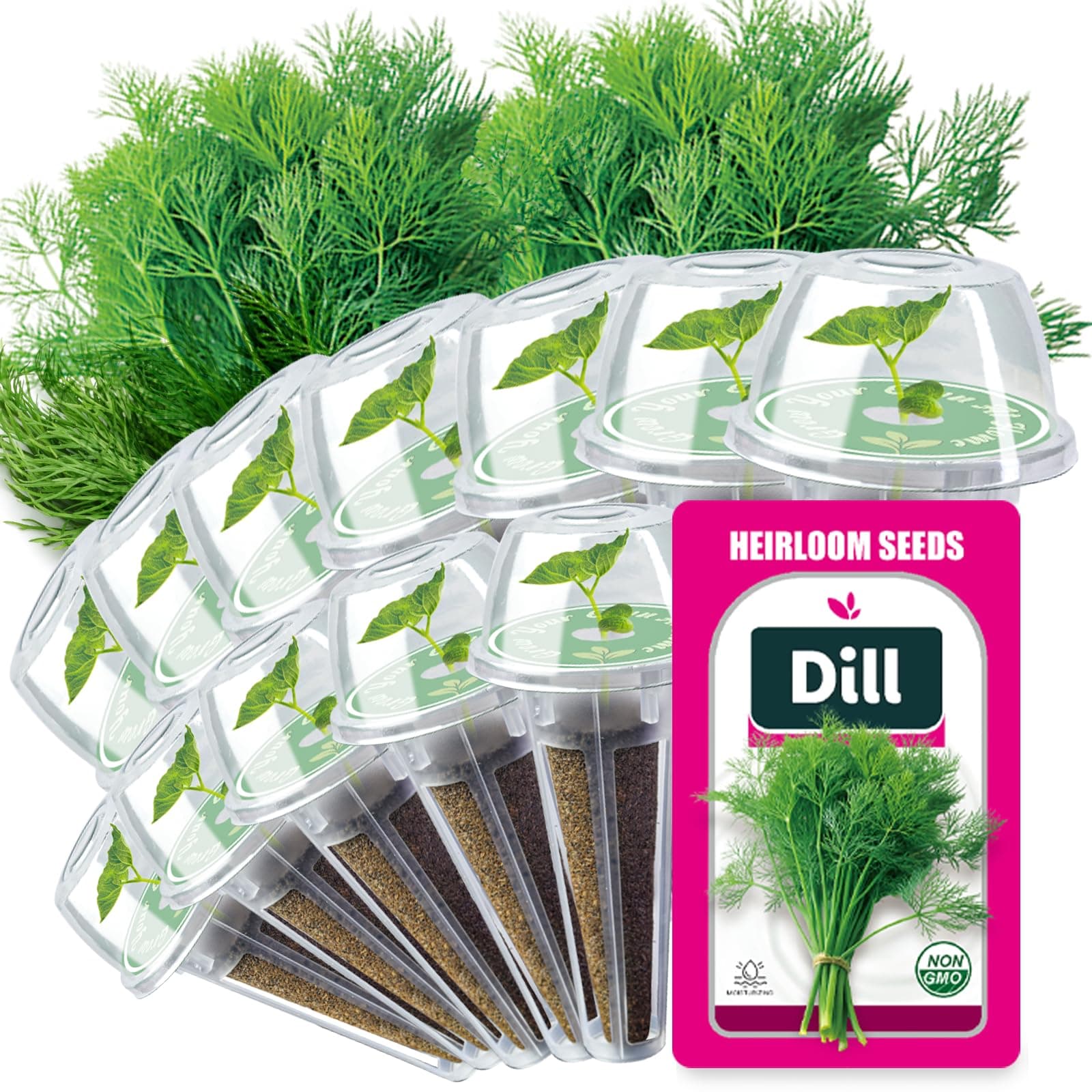 Dill Seed Pods for All Hydroponics Growing Systems, 12 Pods Herb Kit with 400+ Seeds of Dill, Grow Your Own Herb Garden at Home