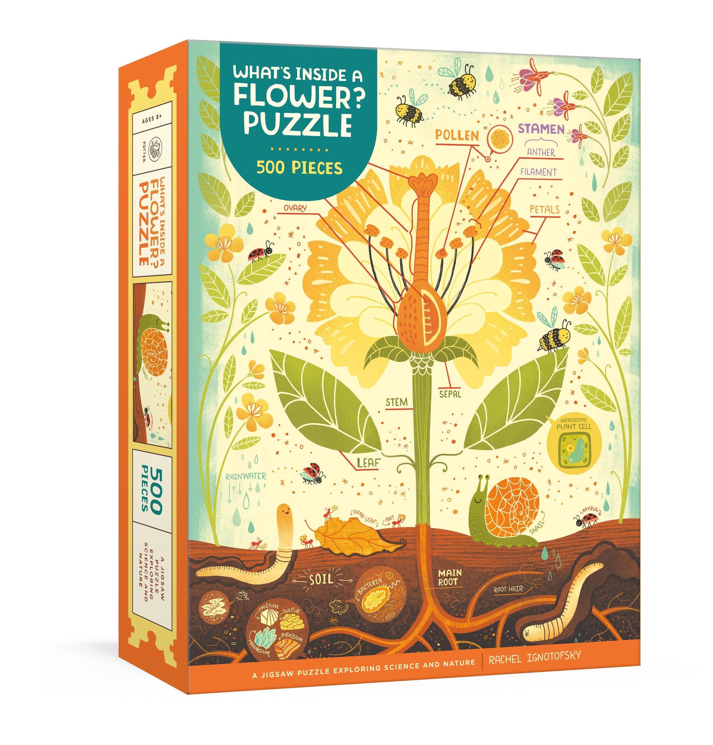 Clarkson Potter What's Inside a Flower? Puzzle: Exploring Science and Nature 500-Piece Jigsaw Puzzle Jigsaw Puzzles for Adults and Jigsaw Puzzles for Kids
