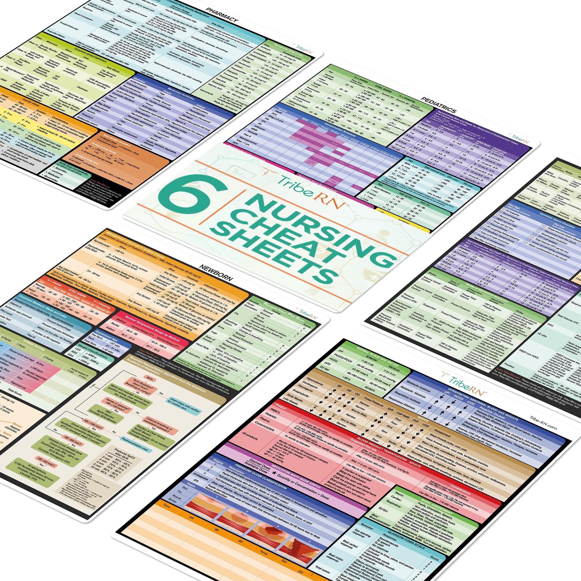 Nursing Essentials Set