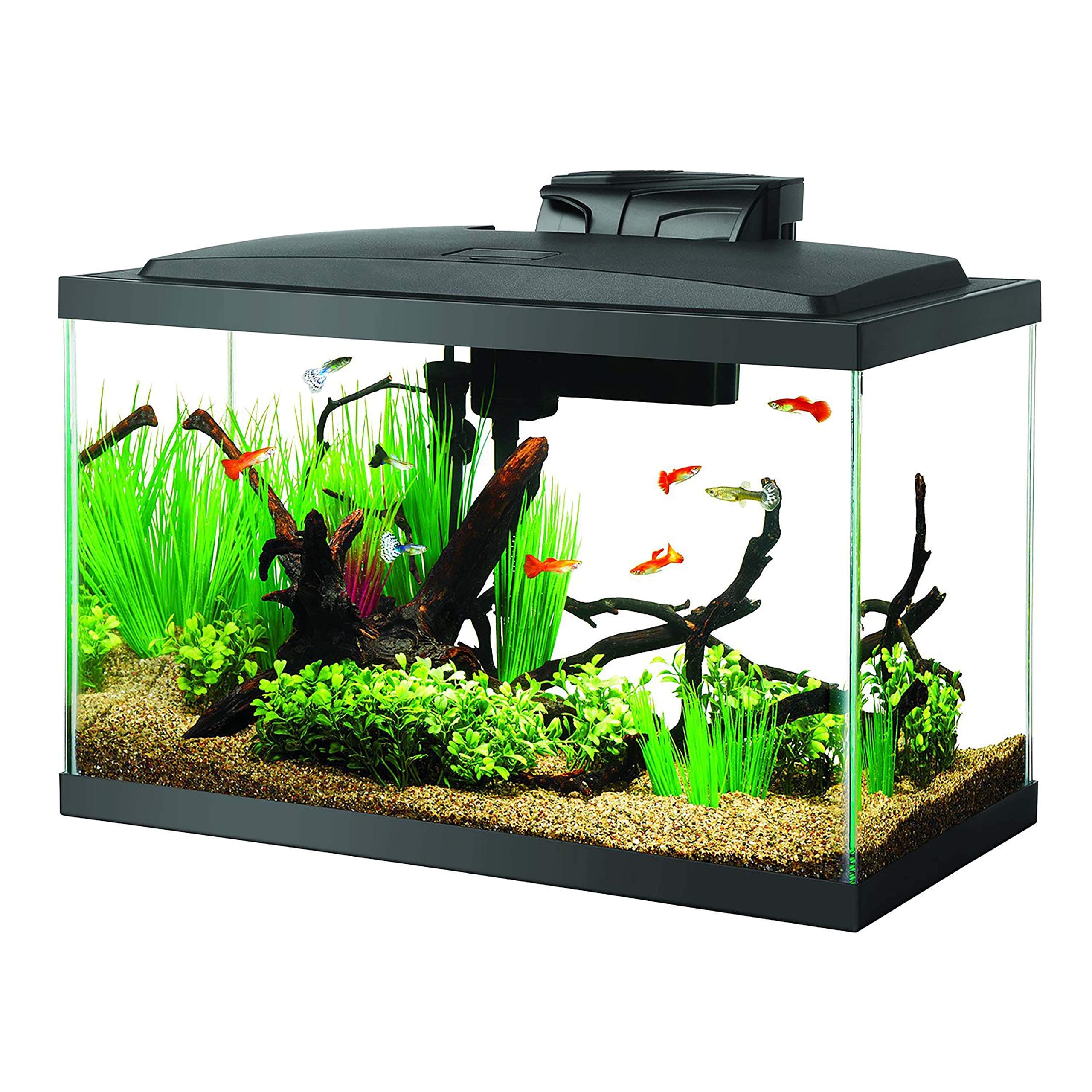 Aqueon Aquarium Starter Kit with LED Lighting, 10 Gallon Aquarium