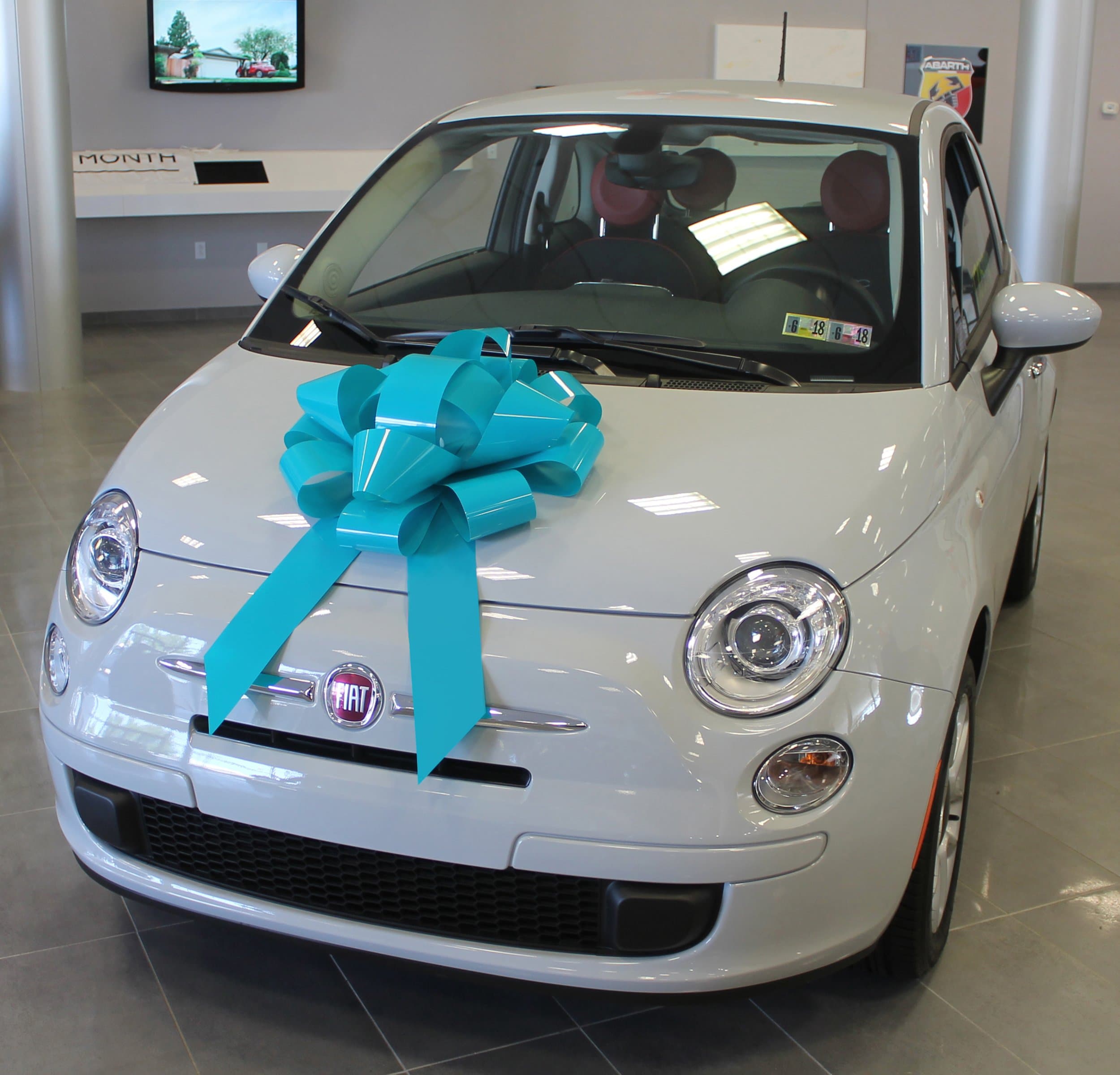 22" Big Magnetic Car Bow - Made in USA (Teal)