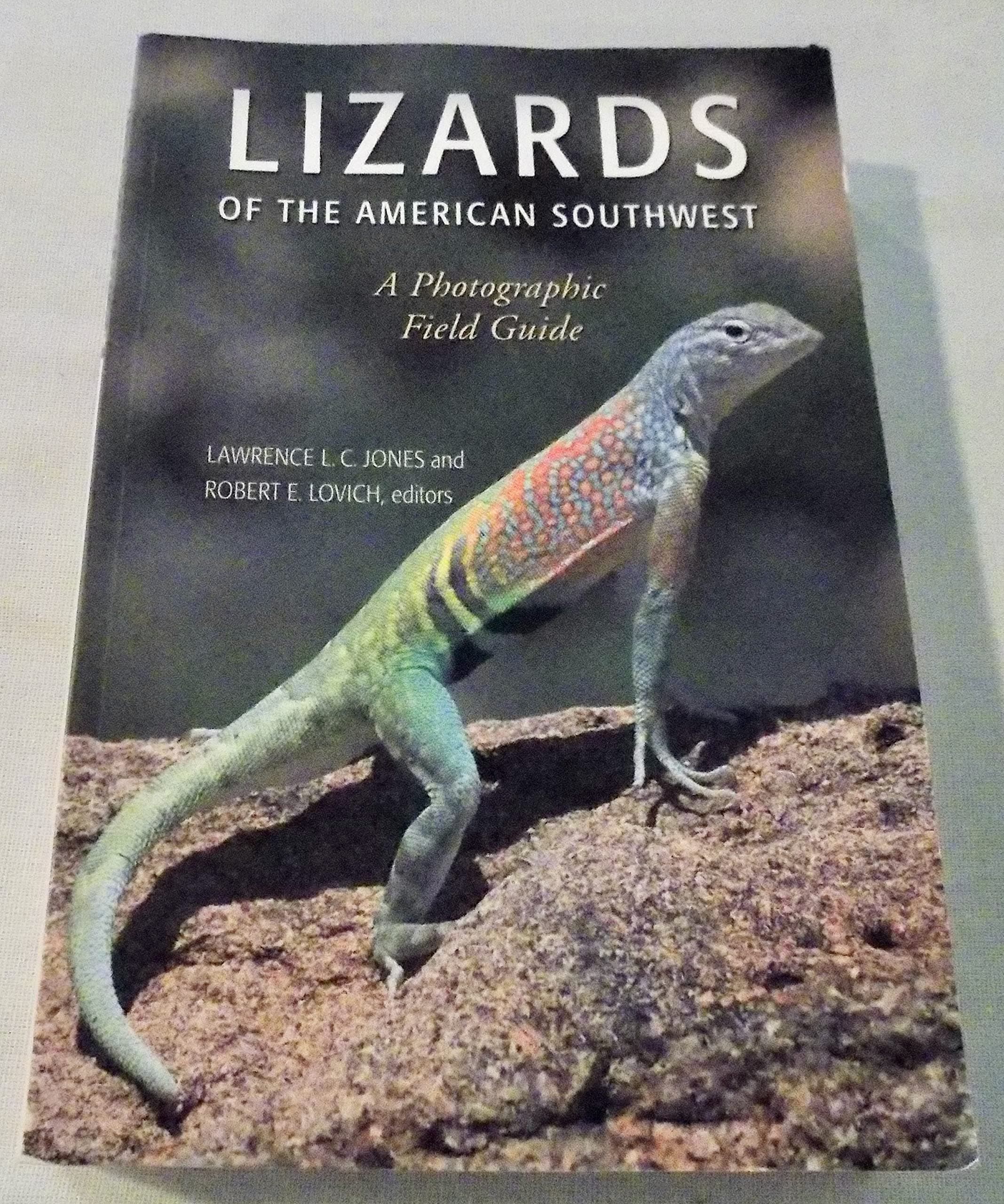 Lizards of the American Southwest: A Photographic Field Guide Paperback – September 8, 2009