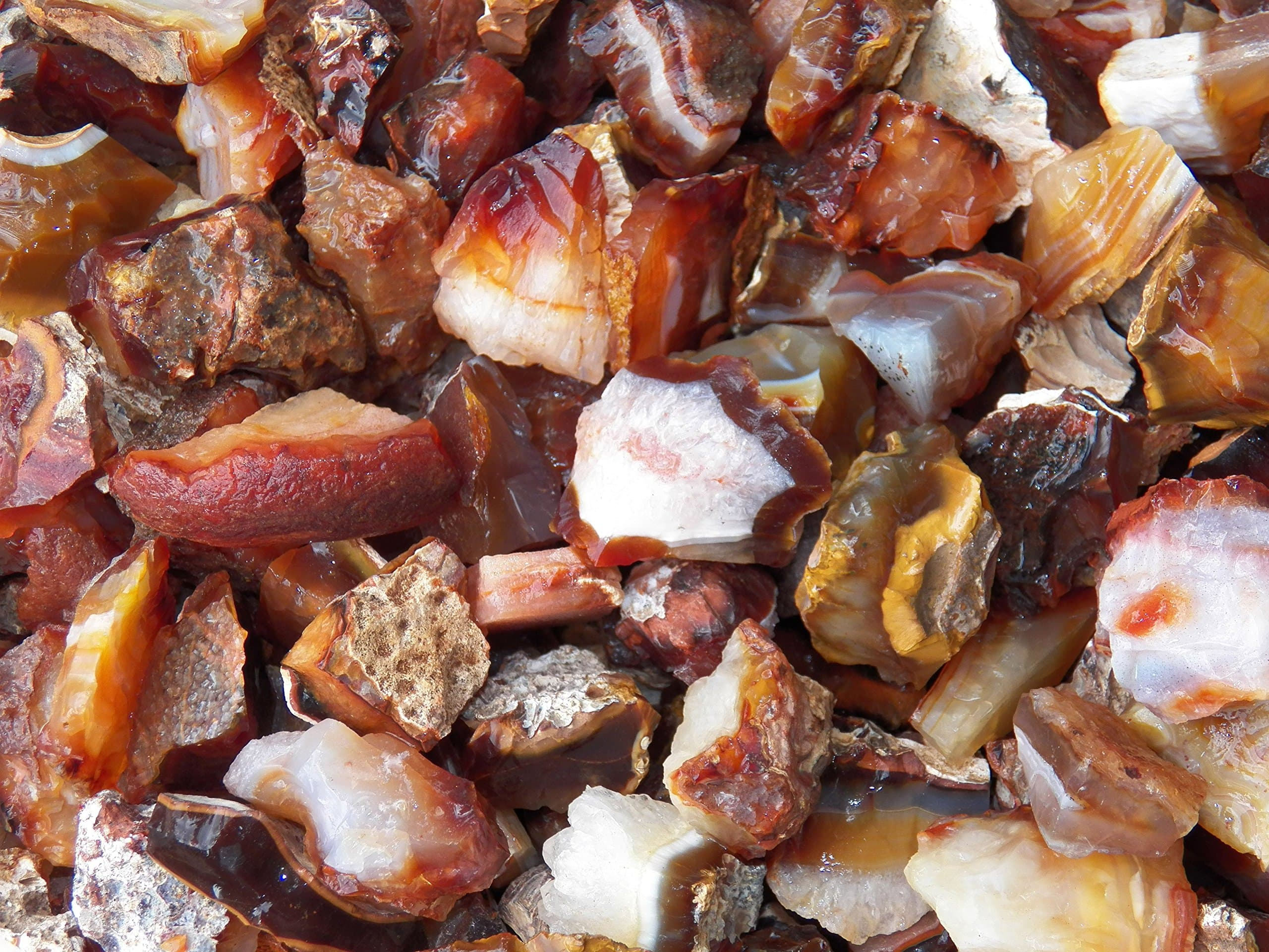 Fundamental Rockhound: Rough Carnelian Agate Natural Bulk Rock for Tumbling Metaphysical Gemstones Healing Crystals (1/2 lb)