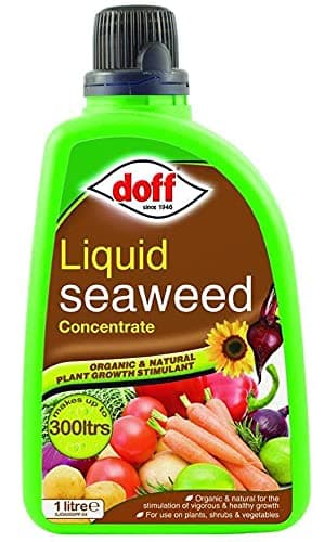 Doff 1L Liquid Seaweed Concentrated Multi-Purpose Feed, Multicoloured, F-JO-A00-DOF