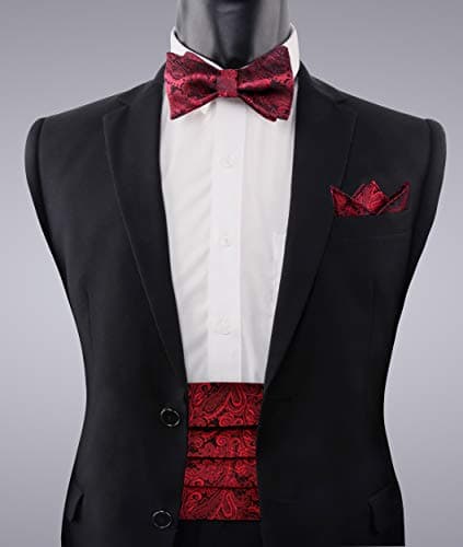 Alizeal Men's Paisley Cummerbund and UNTIED Bow Tie Hanky Set