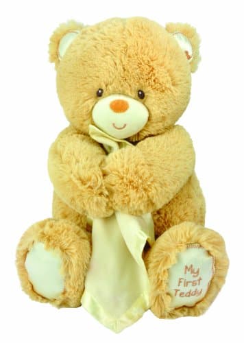 Special Delivery Snuggler Plush Toy, Bear