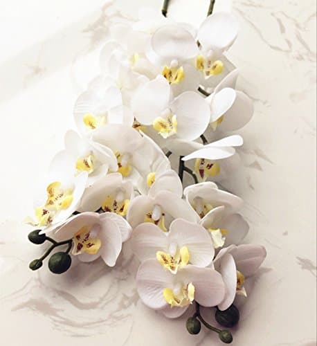 jiumengya 6pcs Real Touch Butterfly Orchids Mini Phalaenopsis 12 Heads Artificial Latex Orchid Flower for Wedding Party Home Floral Decoration (White)