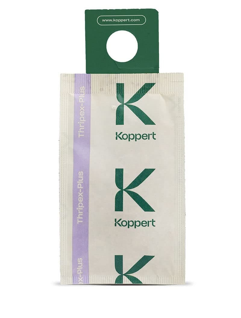 Dragonfli Thrip Killer sachets x10 - Amblyseius Cucumeris Predator Mites for Biological Control