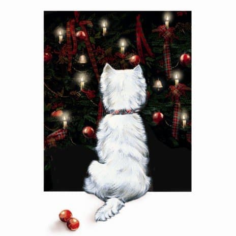 'Christmas Lights' Westie 10 pack of small square Xmas cards