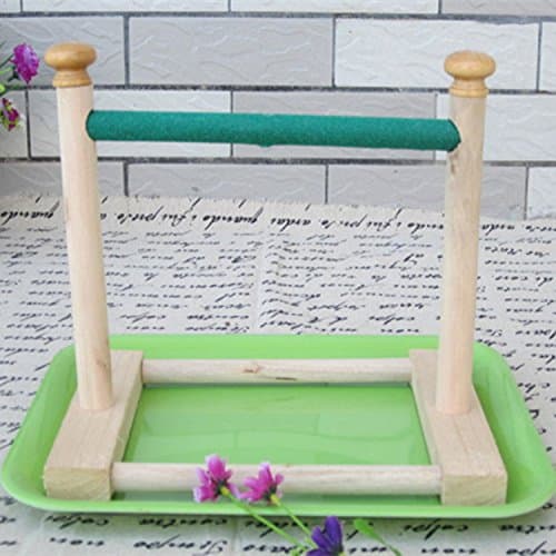 HypeetySmall Bird Parrot Stand Perch Table Top Stand Playground Grind Perch Swing Training Playstand Exercise Chew Toys for Budgies Parakeet Cockatiel Conure Finch (Perch, XL Wood)
