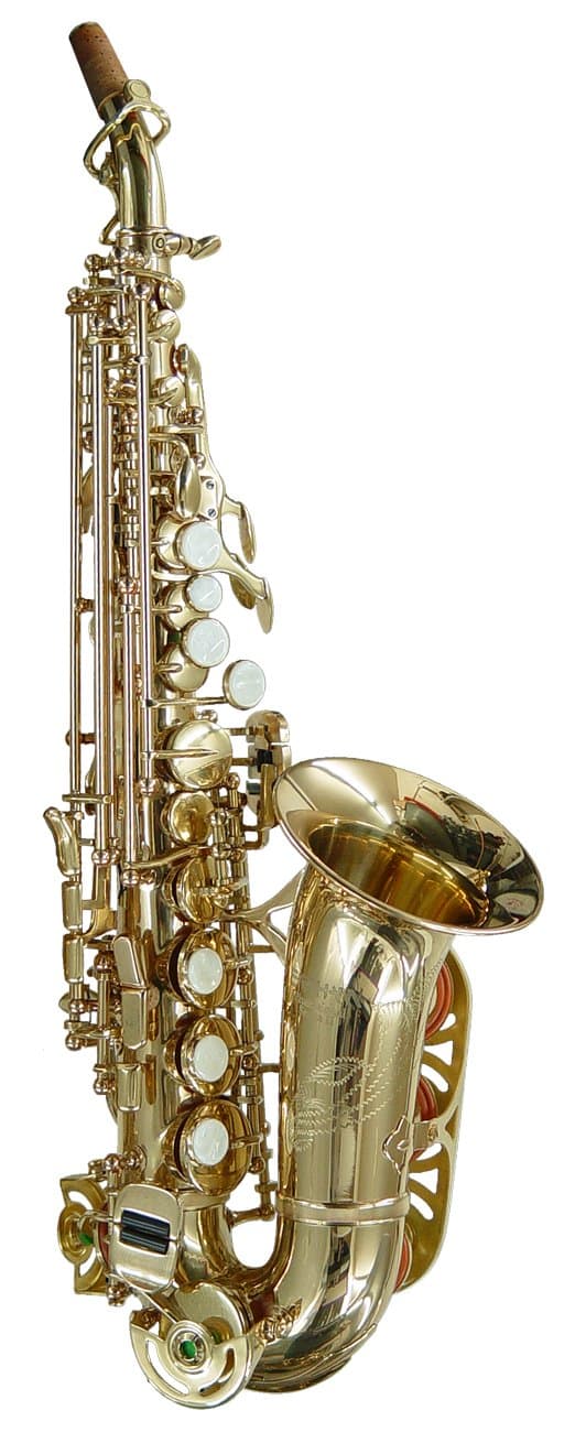 Earlham Complete Curved Soprano Outfit with Case