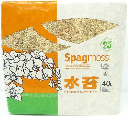 Premium New Zealand Sphagnum Moss 500 Gram Bale - Quantity of One