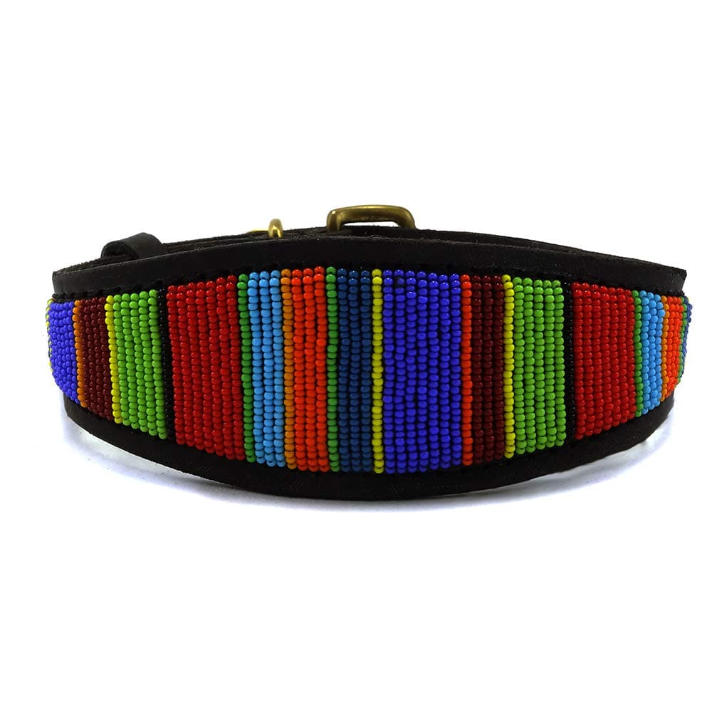 Malulu Digo Lurcher Buckle Small Dog Collar