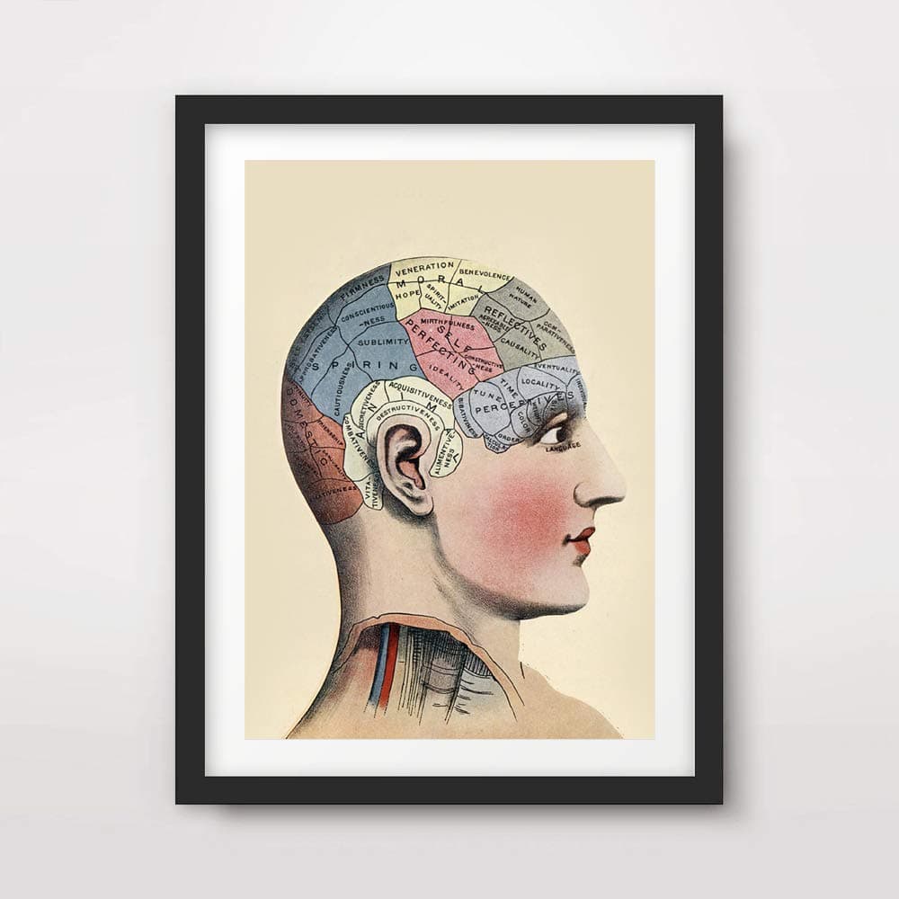 VICTORIAN BRAIN MAP MIND MEDICAL ART PRINT ANATOMICAL ANATOMY MEDICINE HUMAN BODY BIOLOGICAL CHART DIAGRAM ILLUSTRATION VINTAGE ANTIQUE Poster Home Decor Wall Picture A4 A3 A2 (10 Size Options)