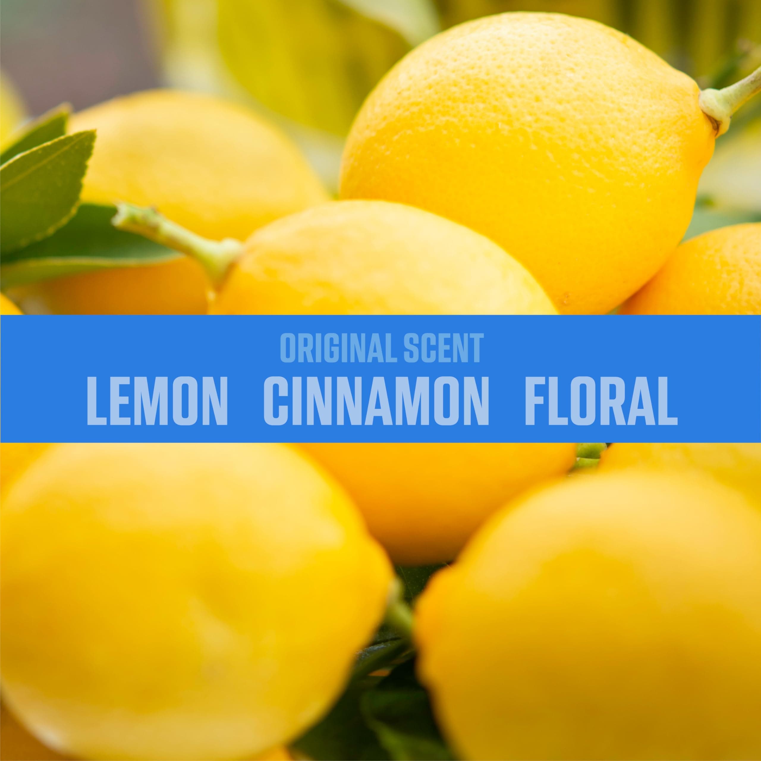 Ozium 805539-6 8 Oz. Air Sanitizer & Odor Eliminator for Homes, Cars, Offices and More - Original Scent, 6 Pack,Blue