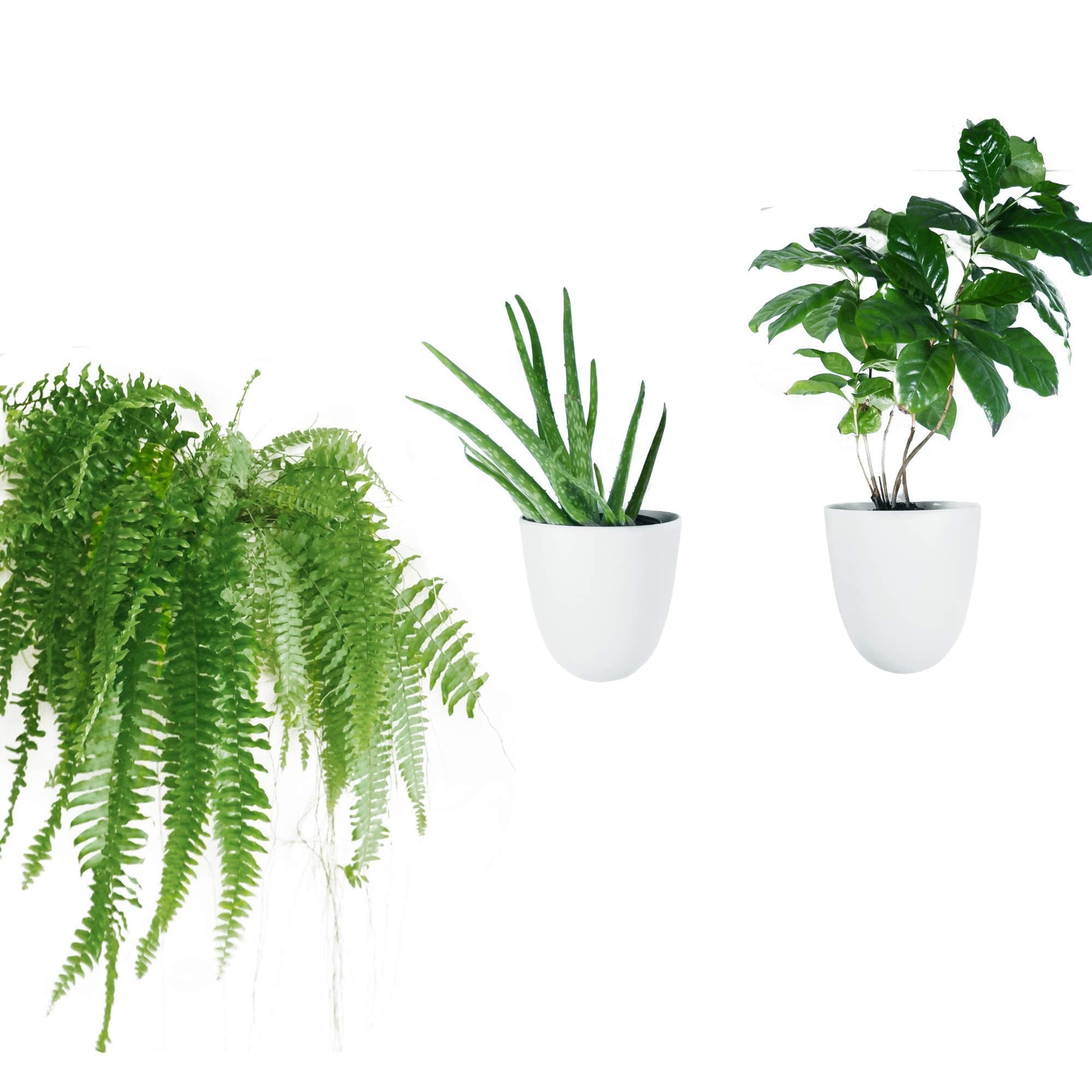 Make Good PlantPod Luxe Self-Watering Wall Planters (Set of 3) - Easy to Water and Install - Lightweight - Design Your Own Vertical Garden - Wall Planters for Indoor Plants