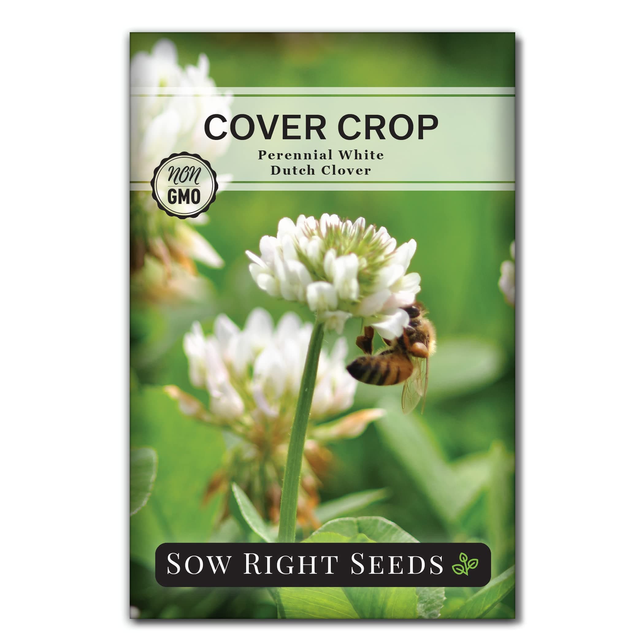 Sow Right Seeds - White Dutch Clover Seed for Planting - Cover Crops to Plant in Your Home Garden - Nitrogen Fixer - Suppress Weeds - Attracts Pollinators - Non-GMO Heirloom Seeds - Gardening Gift (1)