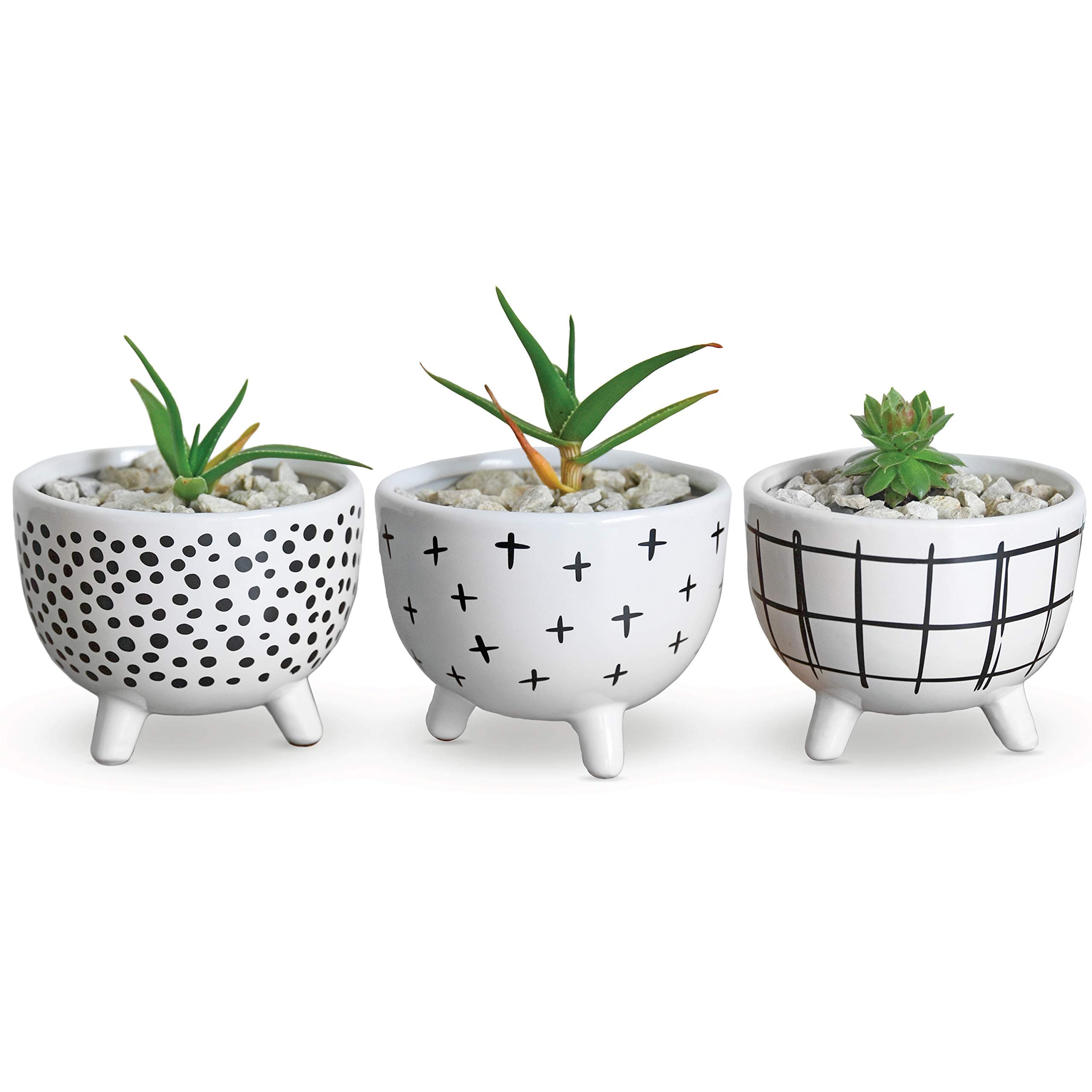 Sofia - Pots for Succulent Plants - Set of 3 - Small Succulent Pots - Ceramic Pot White - Decor Planter Pot Set - Ideal Succulent Planters for Home, Office, Window Sill, Book Shelf