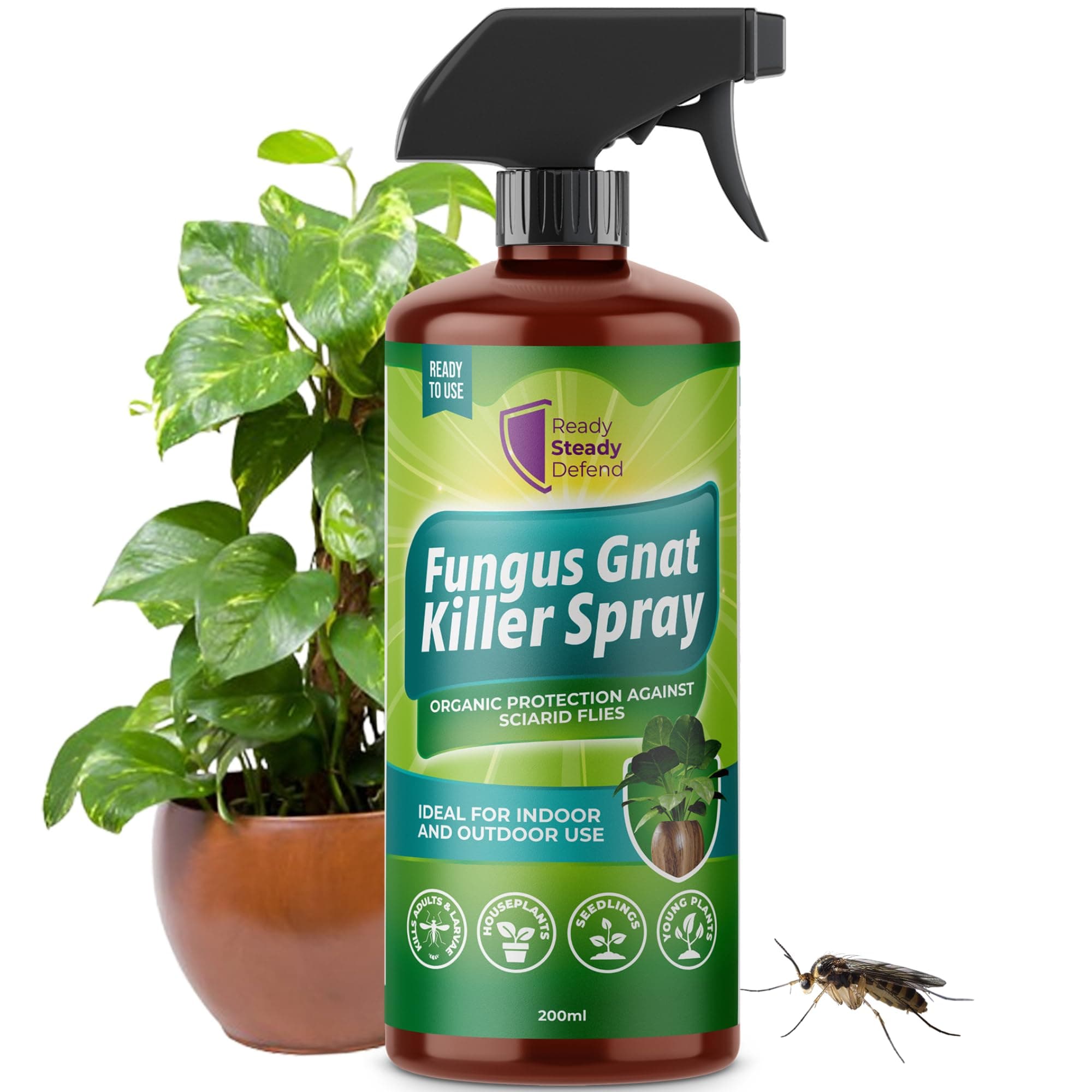 Fungus Gnat Killer Spray 200ml | Organic Protection Against Sciarid Flies | Effective for Houseplants, Seedlings | Safe for Indoor & Outdoor Use | Targets Adults & Larvae | Eco-Friendly Formula