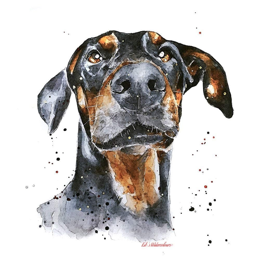 Doberman Regal - Print Watercolour, Doberman art, Doberman print, Doberman art print, Doberman wall decor