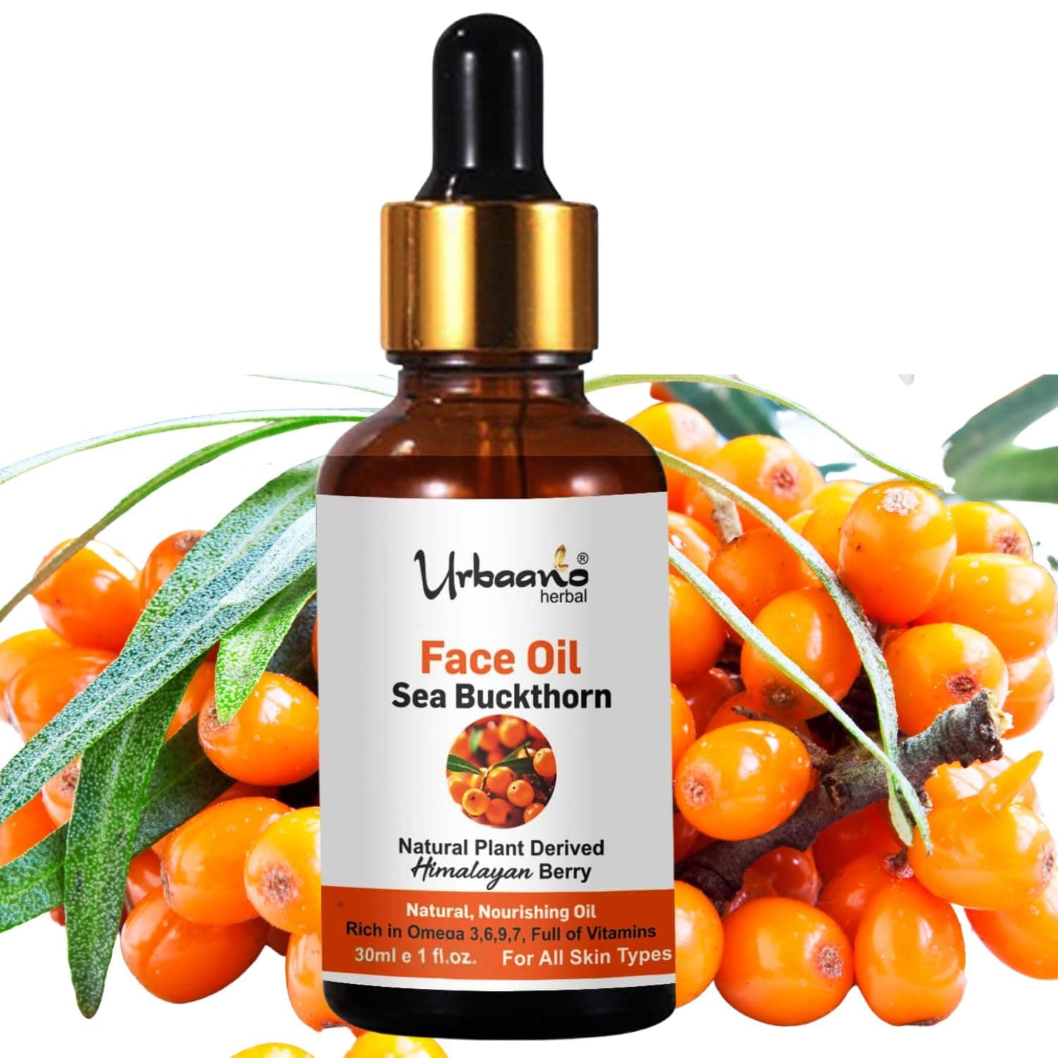 Sea Buckthorn Face Oil | Natural Facial Oil Rich in Omega 3-6-7-9 | Helps Repair Skin Barrier, Boost Glow & Deeply Nourish Dry, Dull, Sensitive & Aging Skin - 30ml