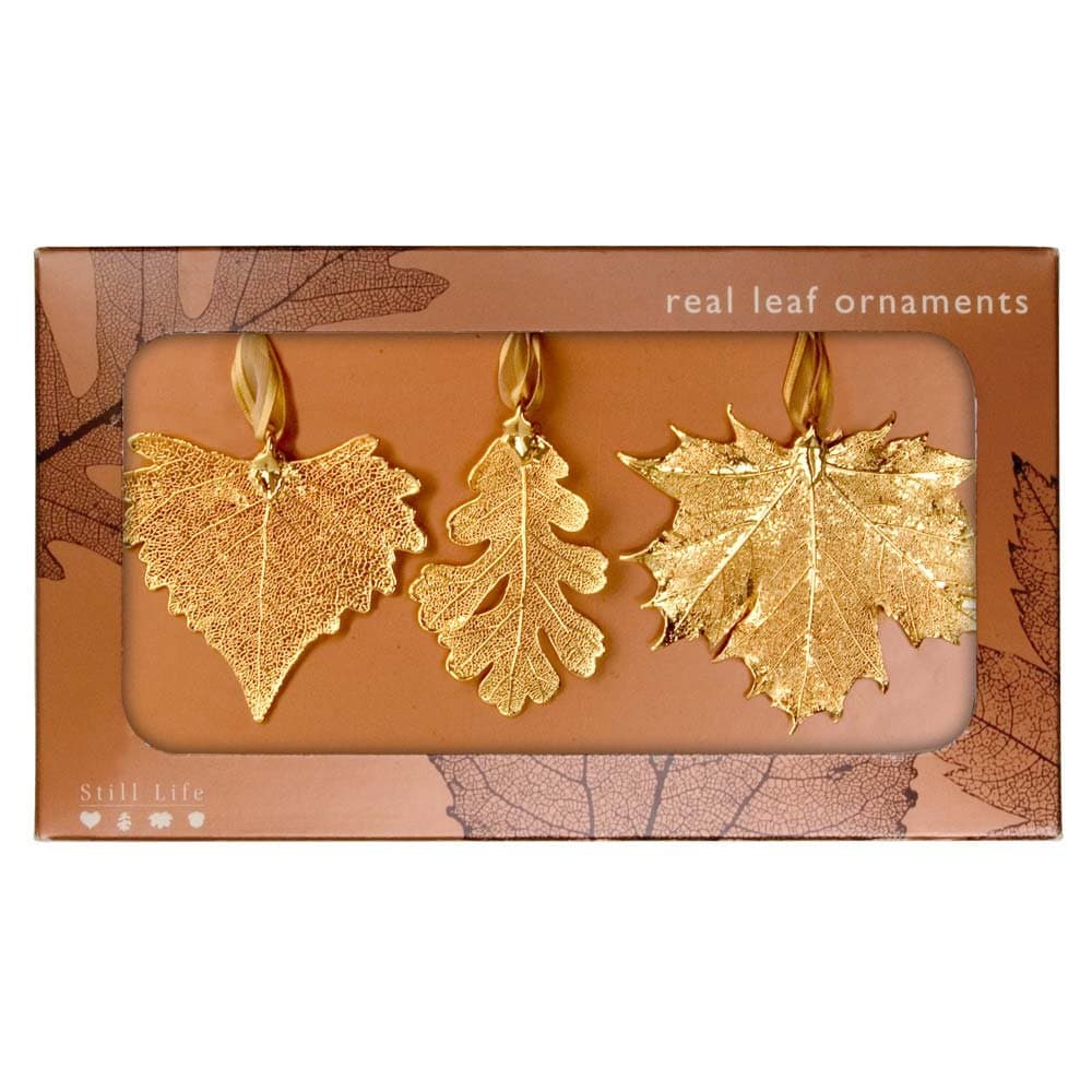 Real Leaf Ornaments, Set of 3 Gold Ornaments - Cottonwood, Lacy Oak, and Sugar Maple
