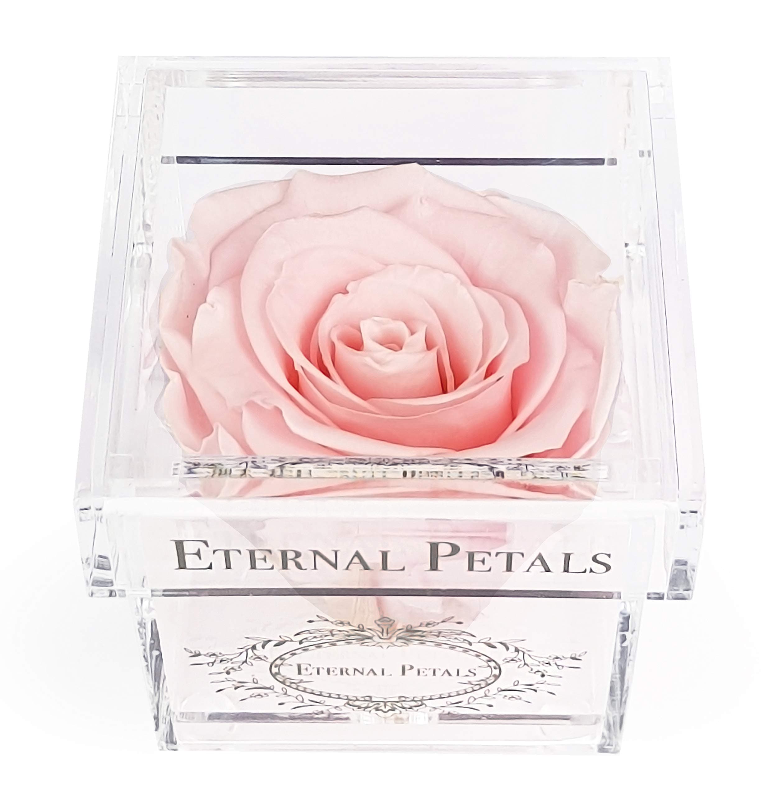 Eternal Petals A 100% Real Rose That Lasts Years, Handmade in UK – White Gold Solo (Light Pink)