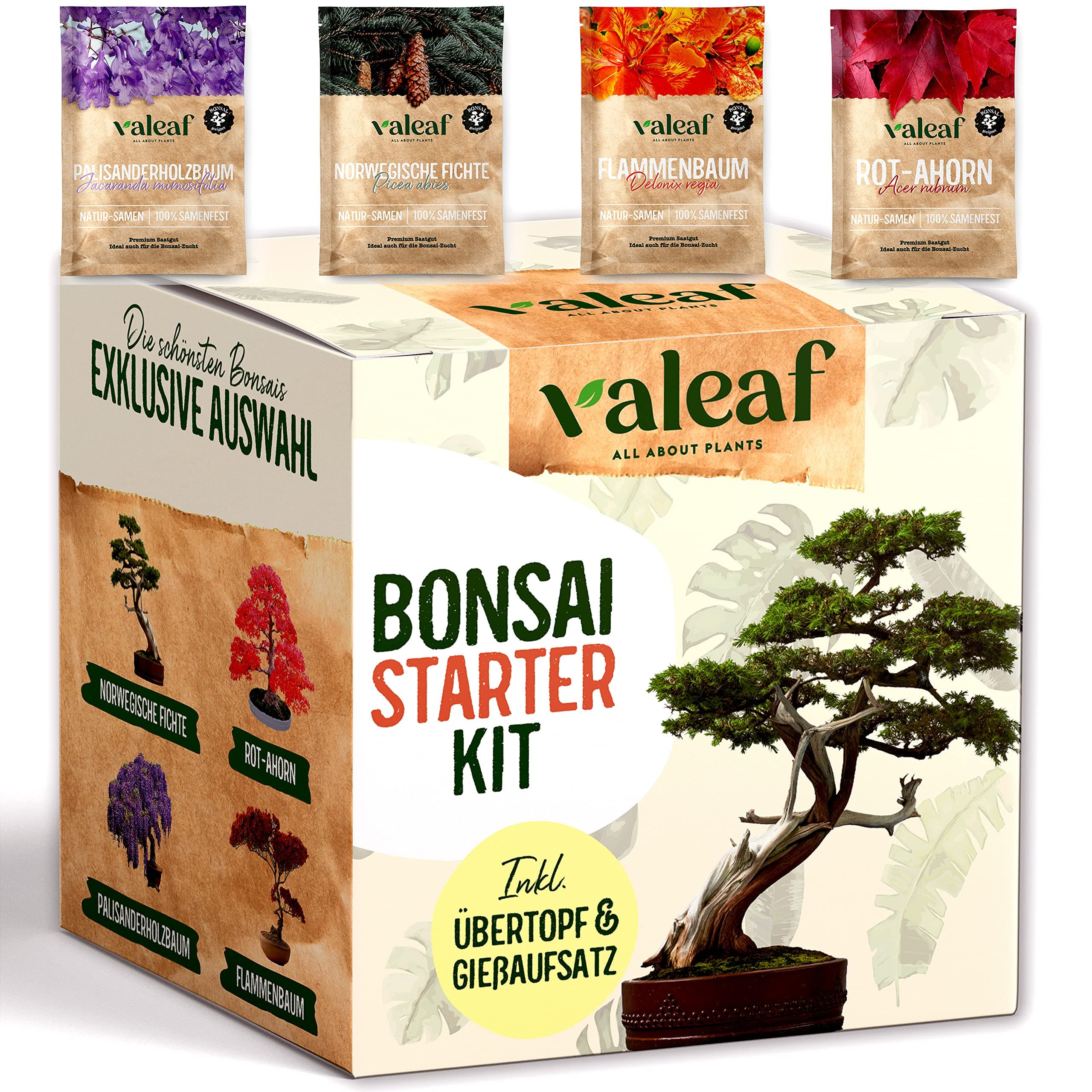 Valeaf Bonsai Starter Kit β Summer Sale, Grow Your Own Bonsai Tree β Growing Set Including 4 Varieties Bonsai Seeds & Accessories β For Beginners β The Ideal Gift for Plant Tree