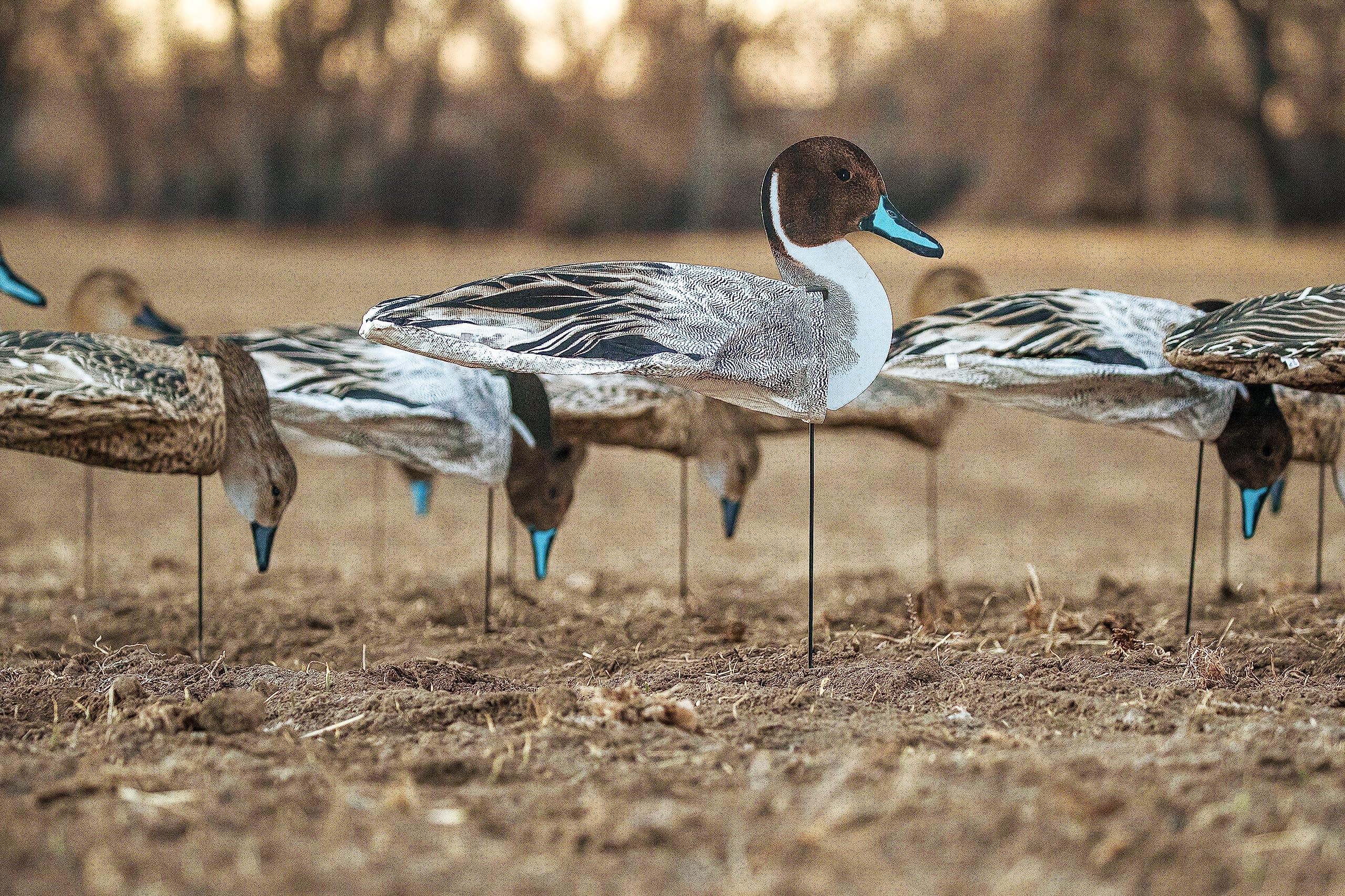 Dive Bomb Industries S3i Pintail Sock Decoys